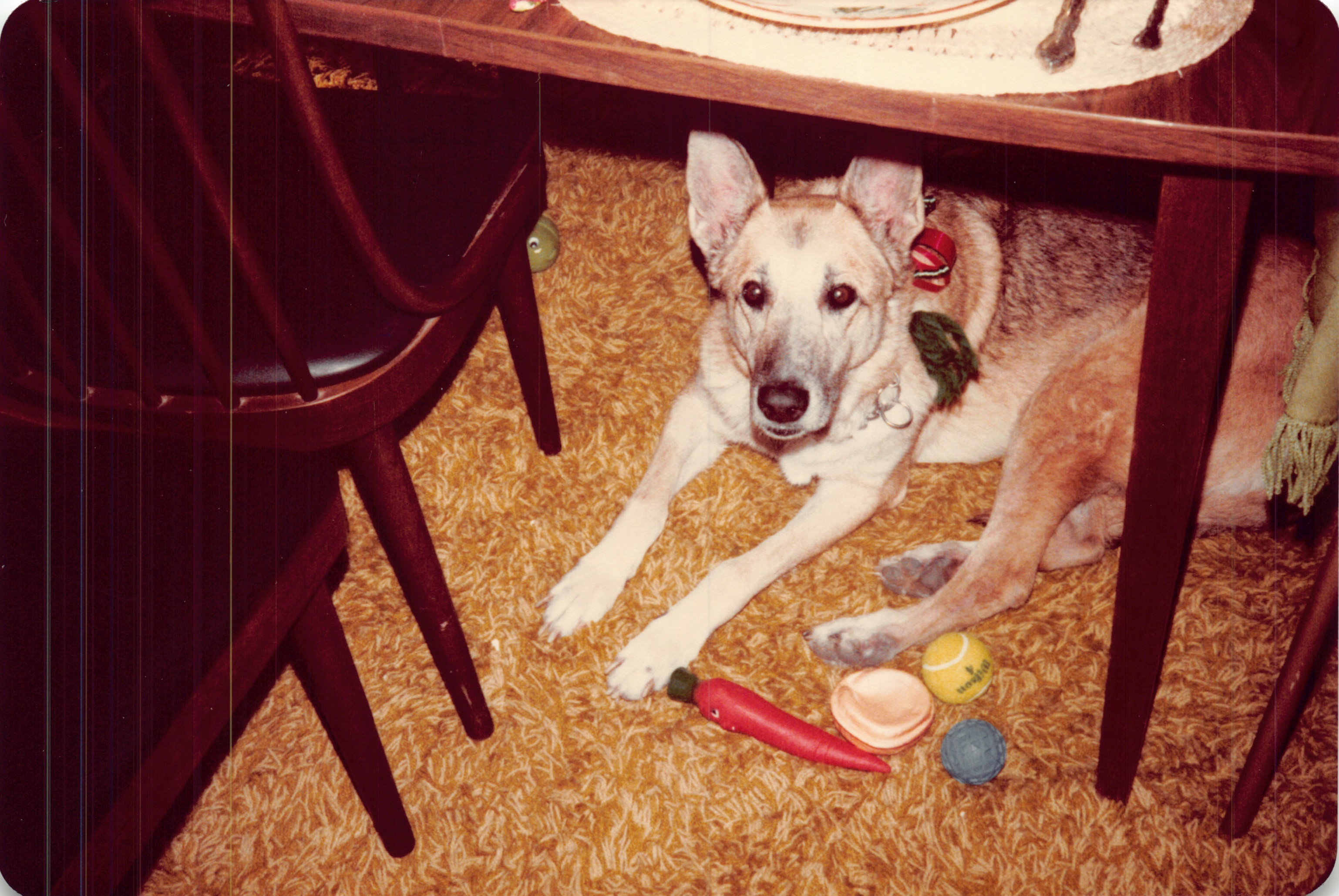 1982c_0880.jpg