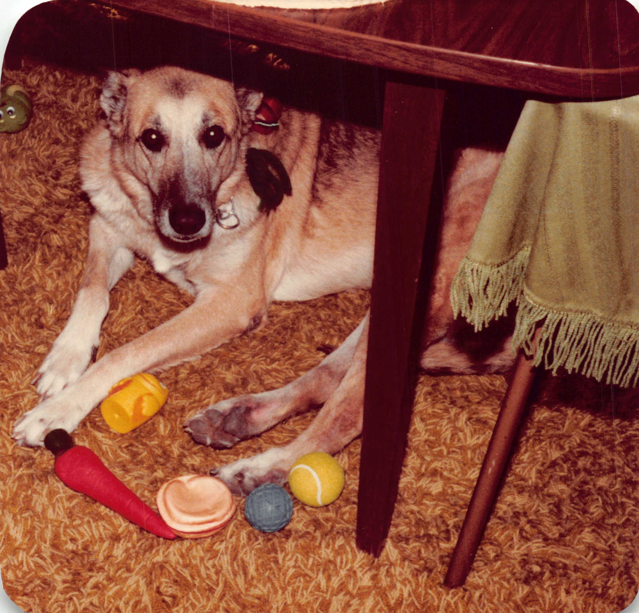 1982c_0881.jpg