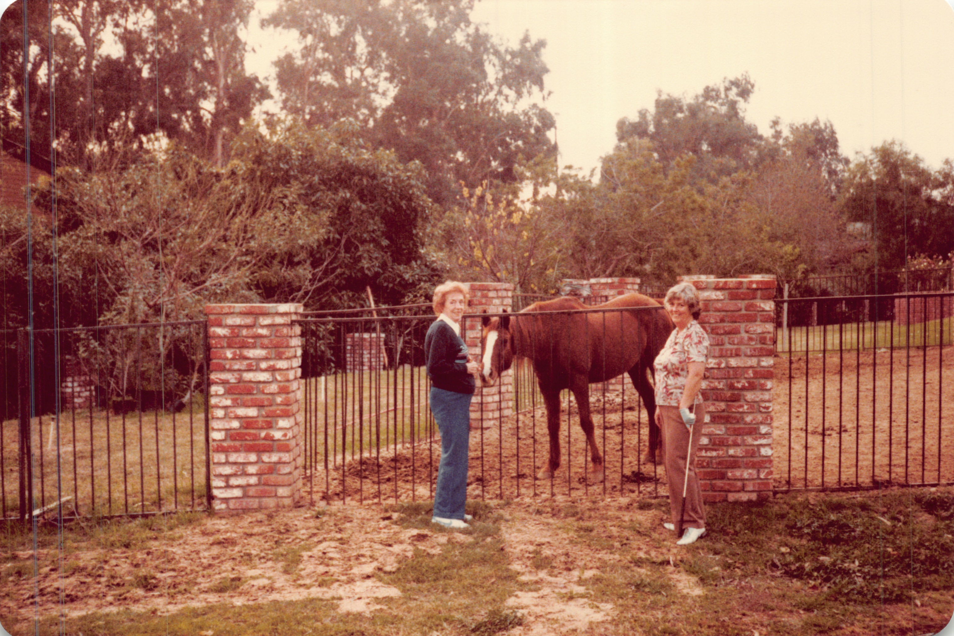 1983a_0910.jpg