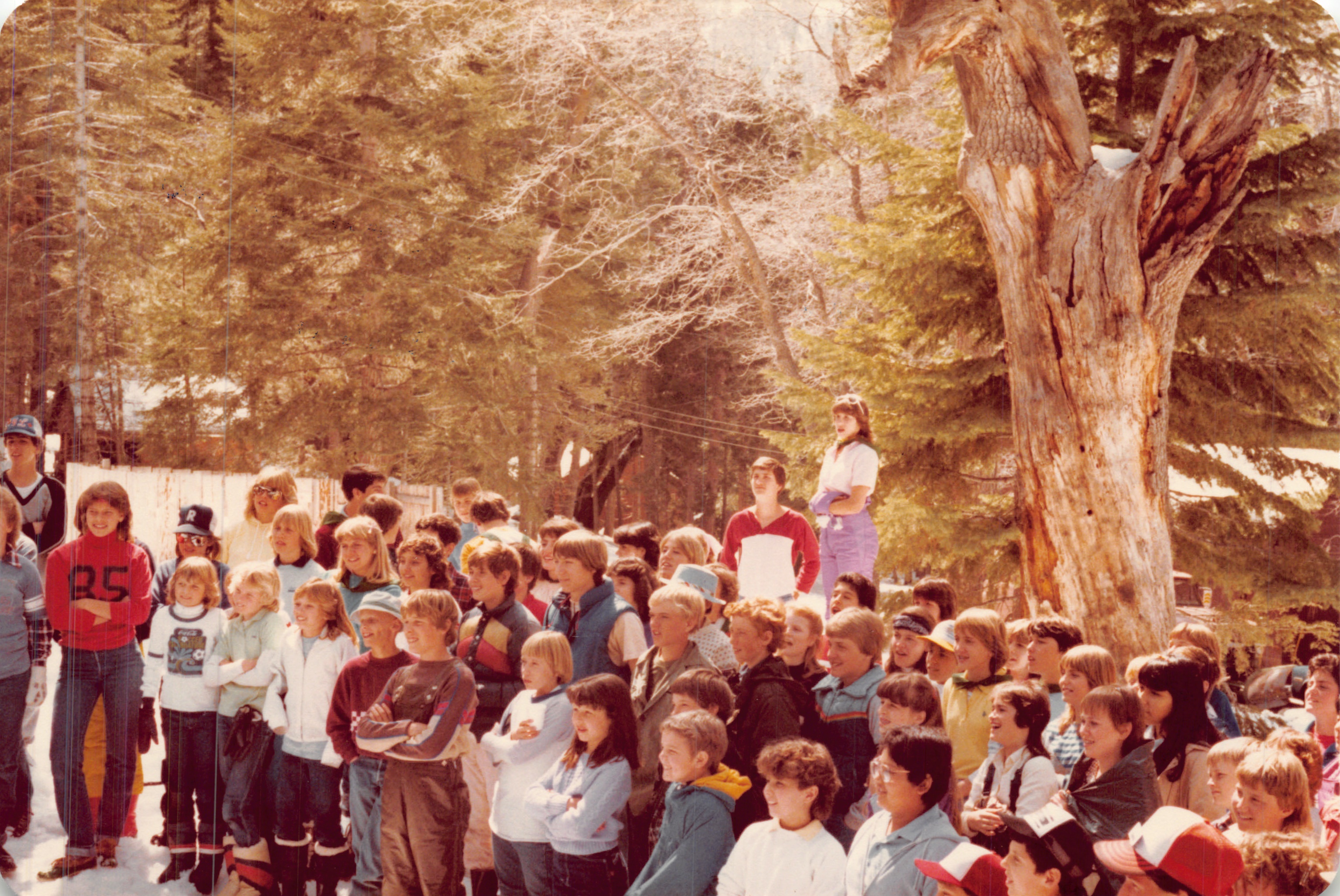 1983a_1000.jpg