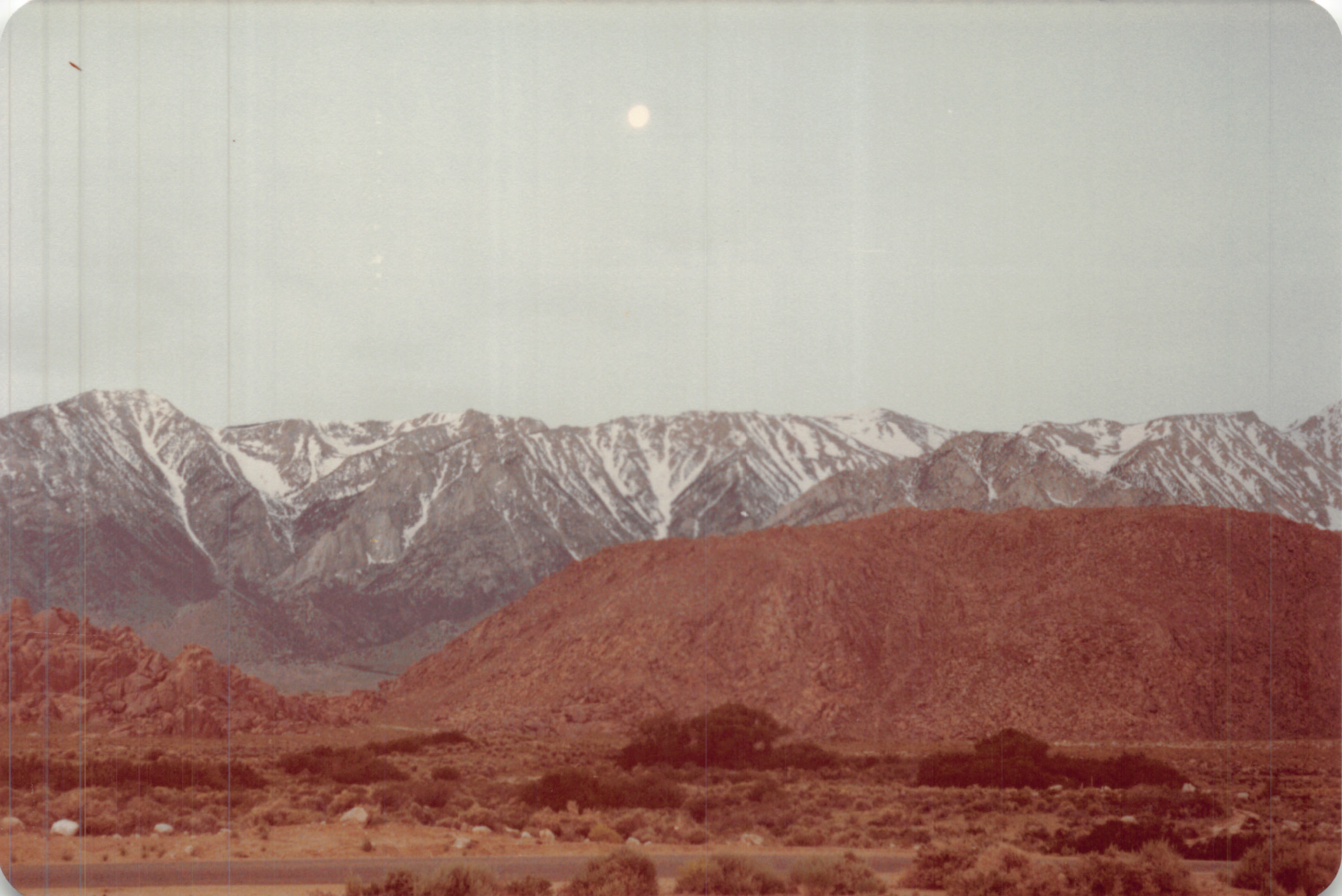 1983a_1051.jpg