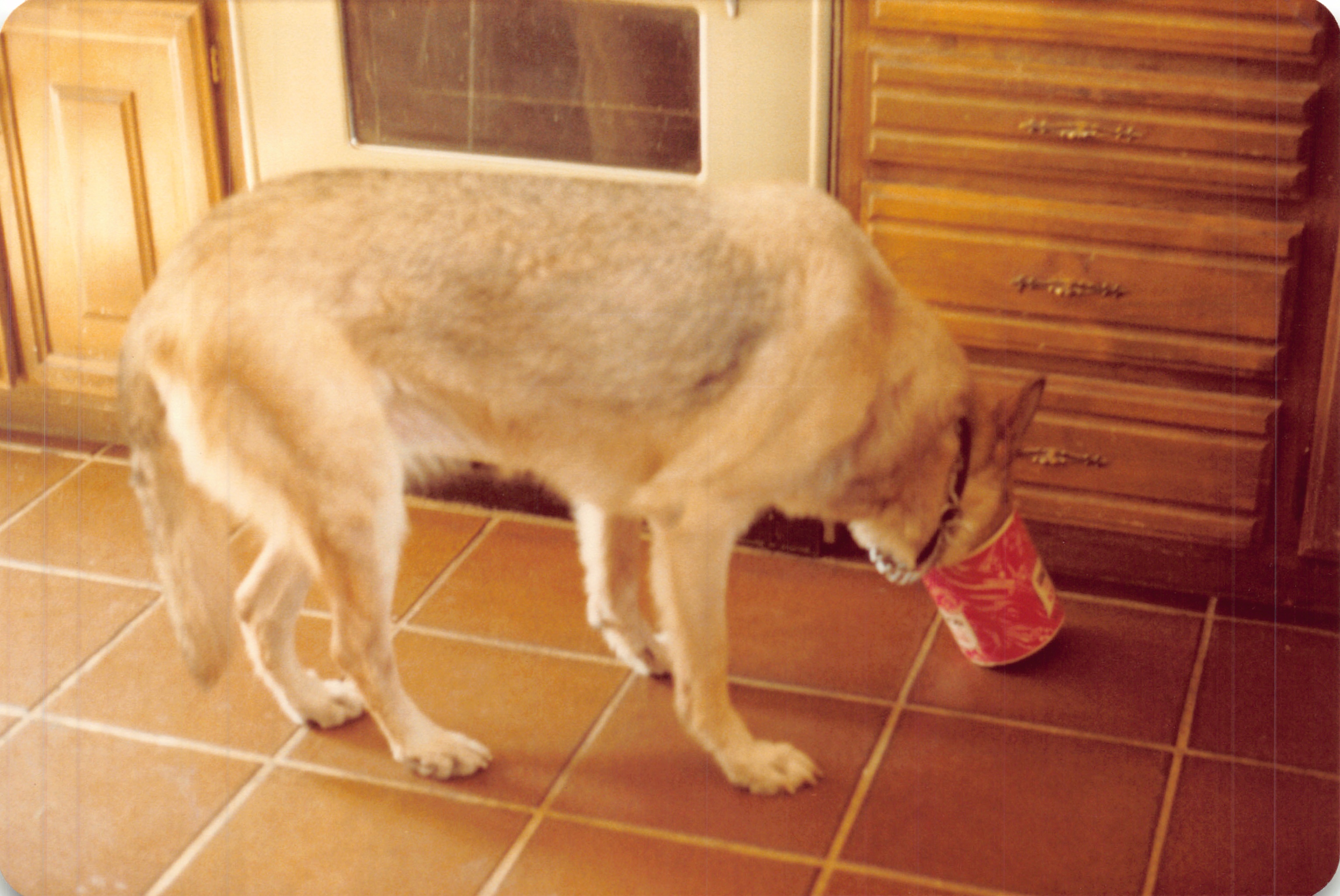 1983a_1060b.jpg