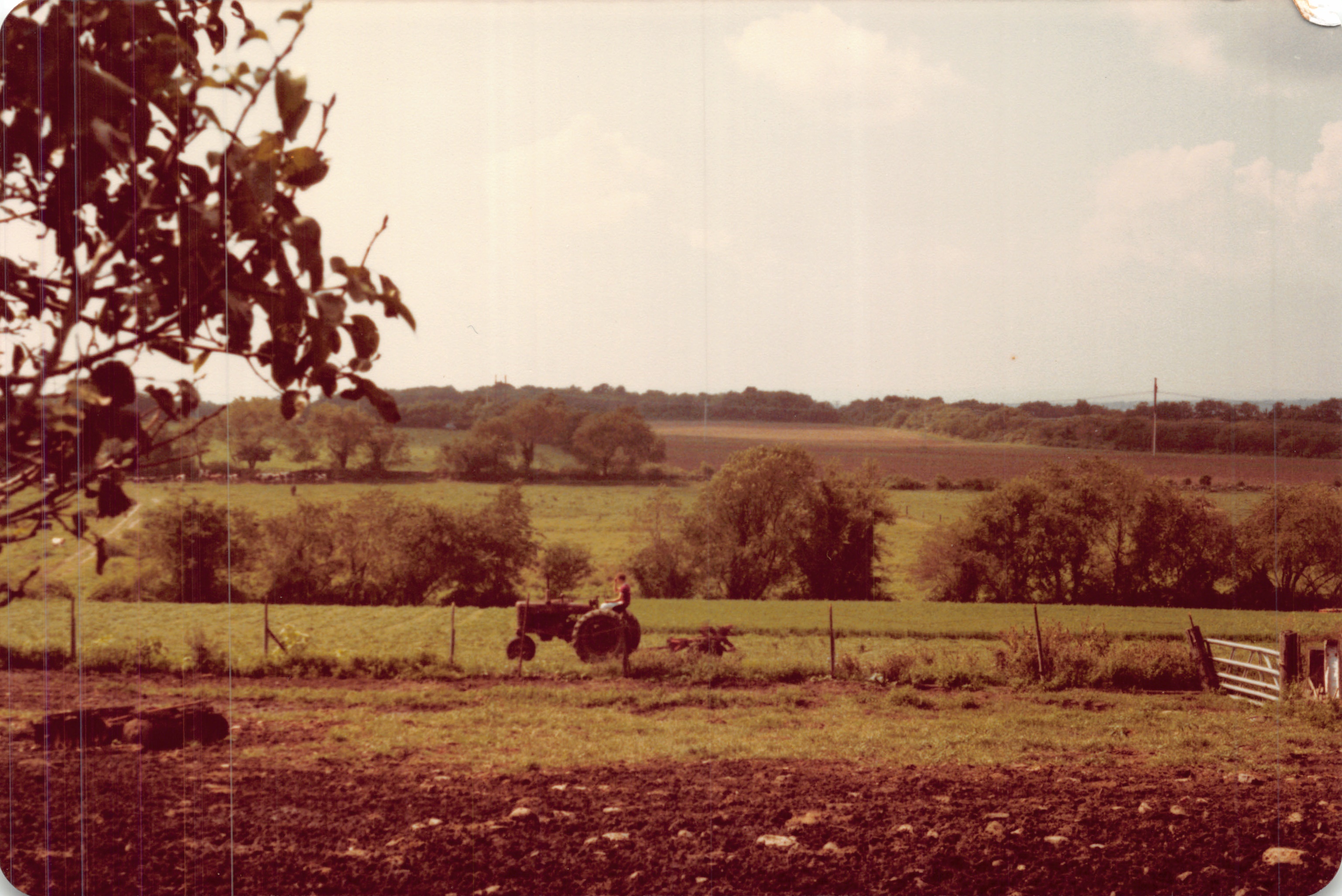 1983c_008.jpg