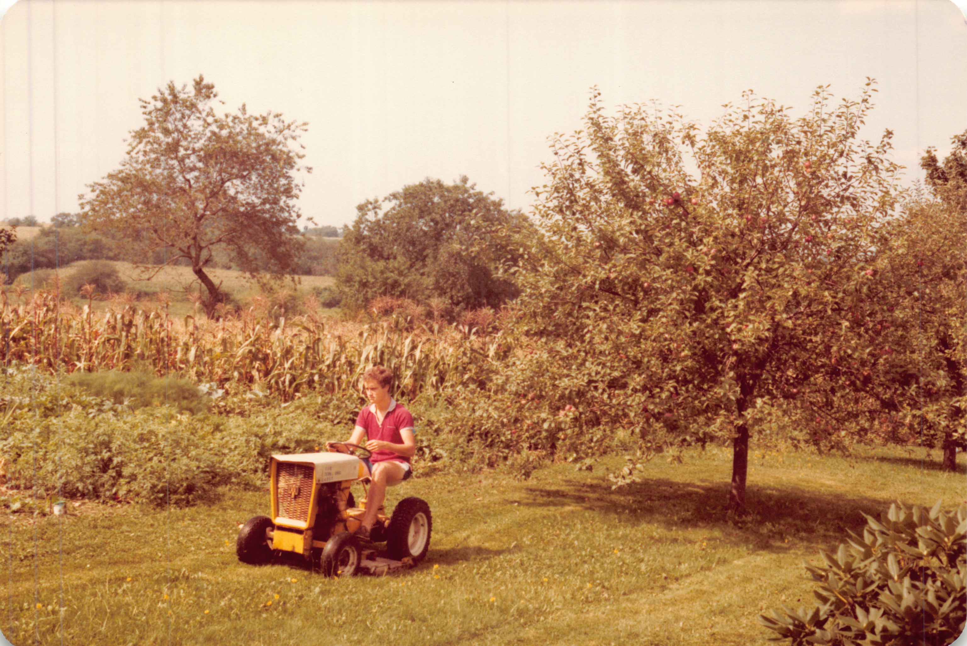 1983c_031.jpg