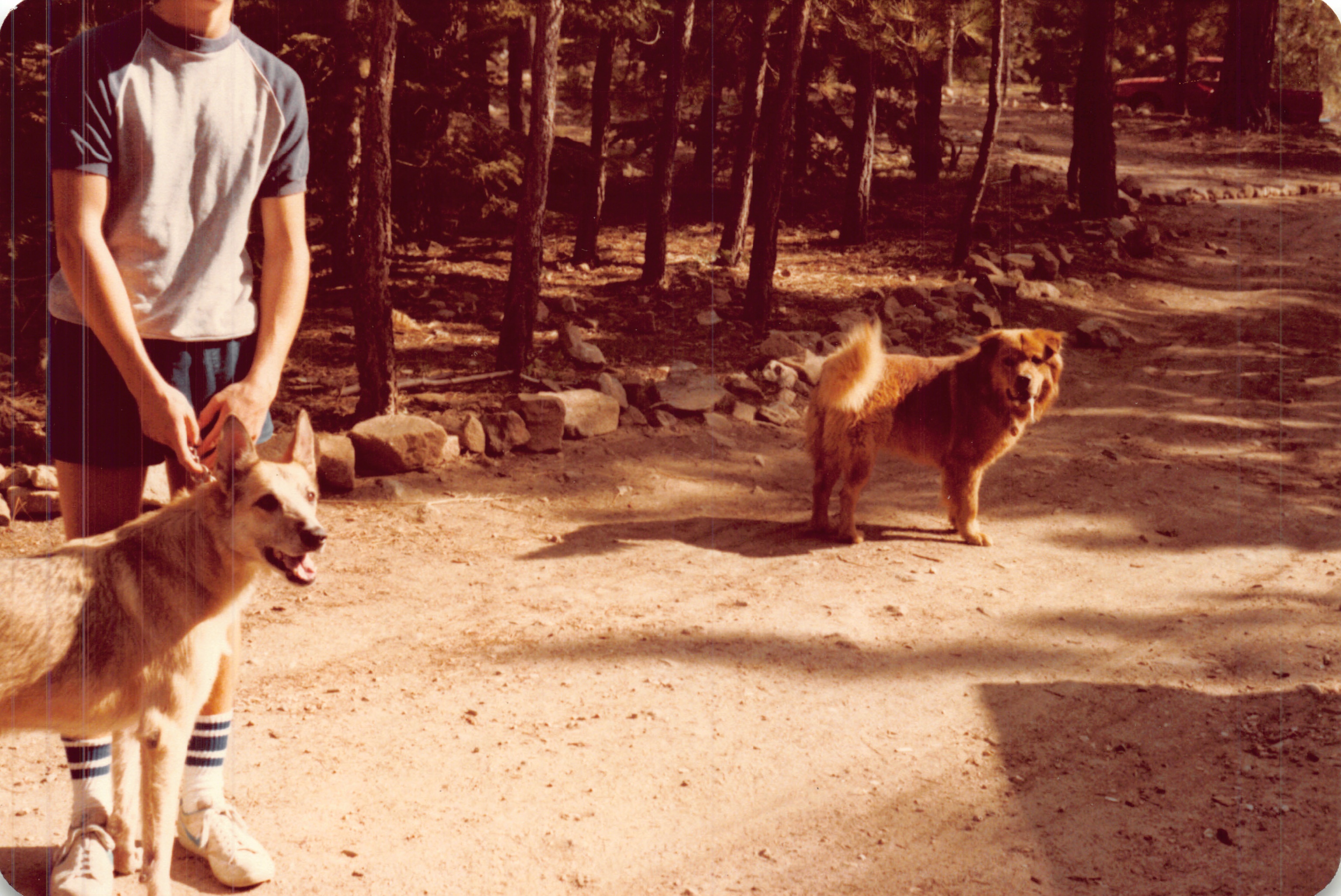 1983c_069.jpg