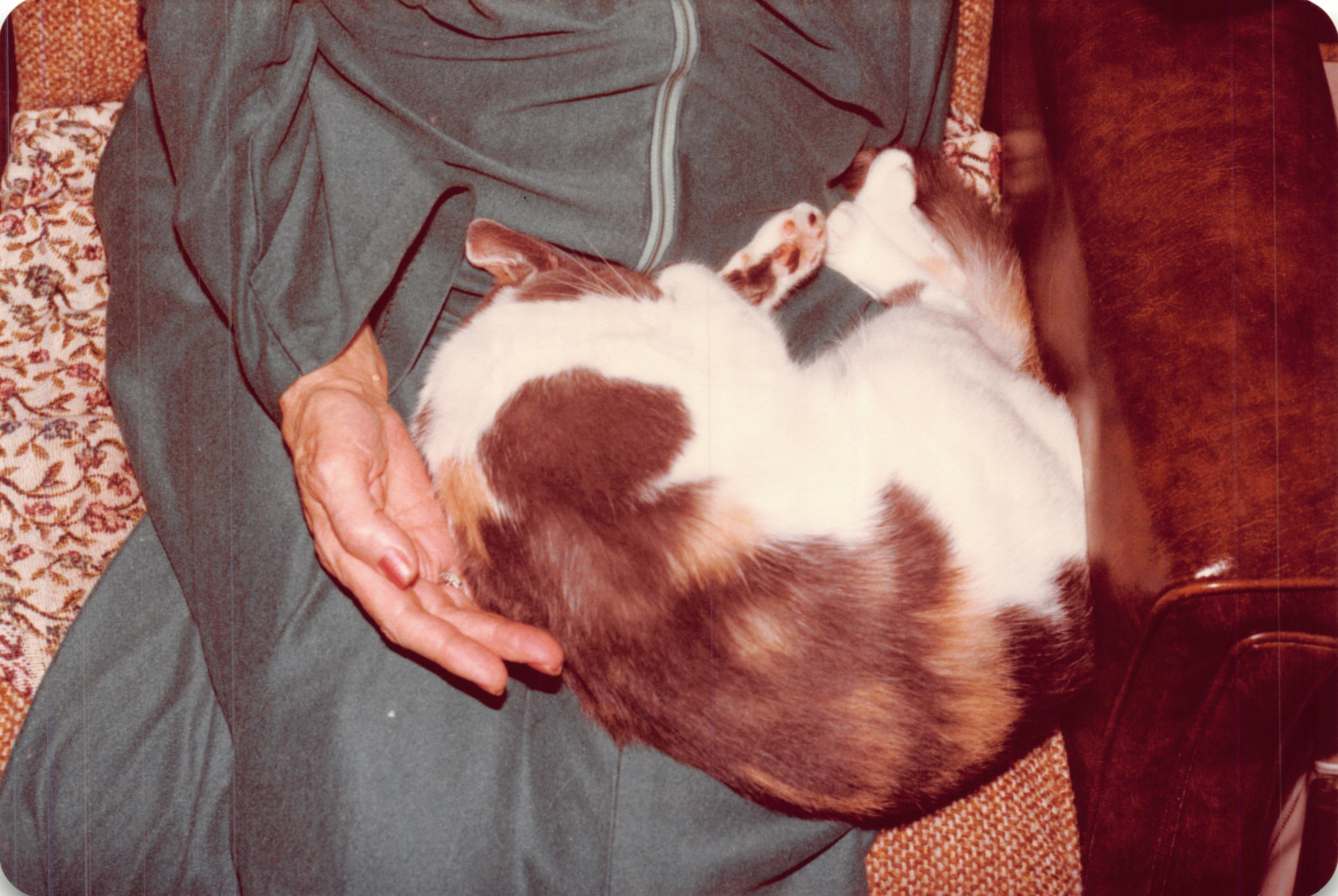 1983c_082.jpg