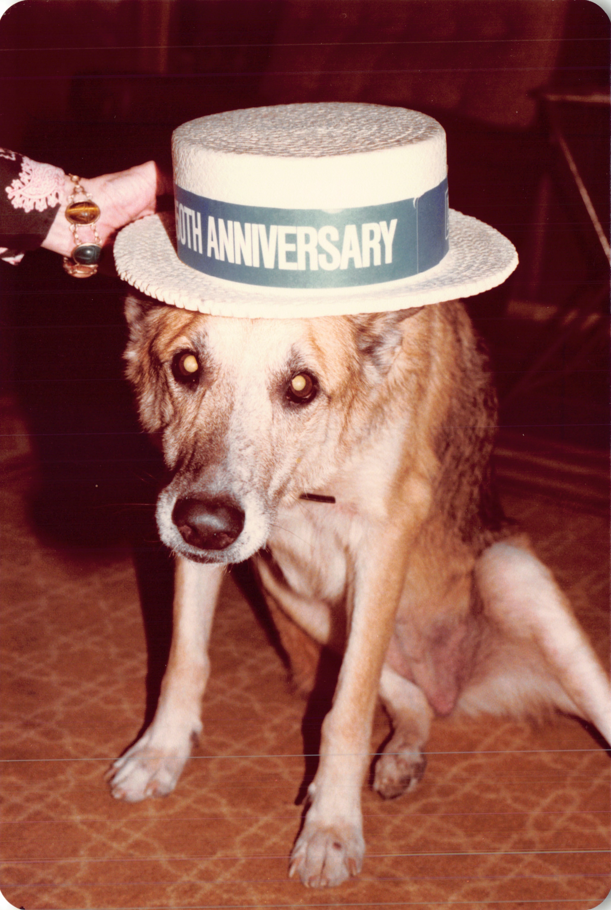 1983c_142.jpg