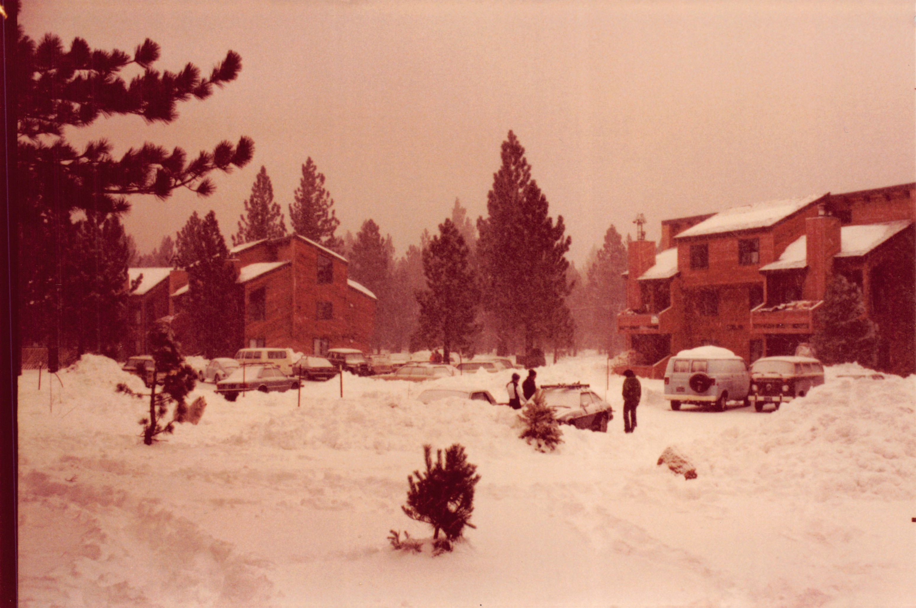 1983d_254.jpg