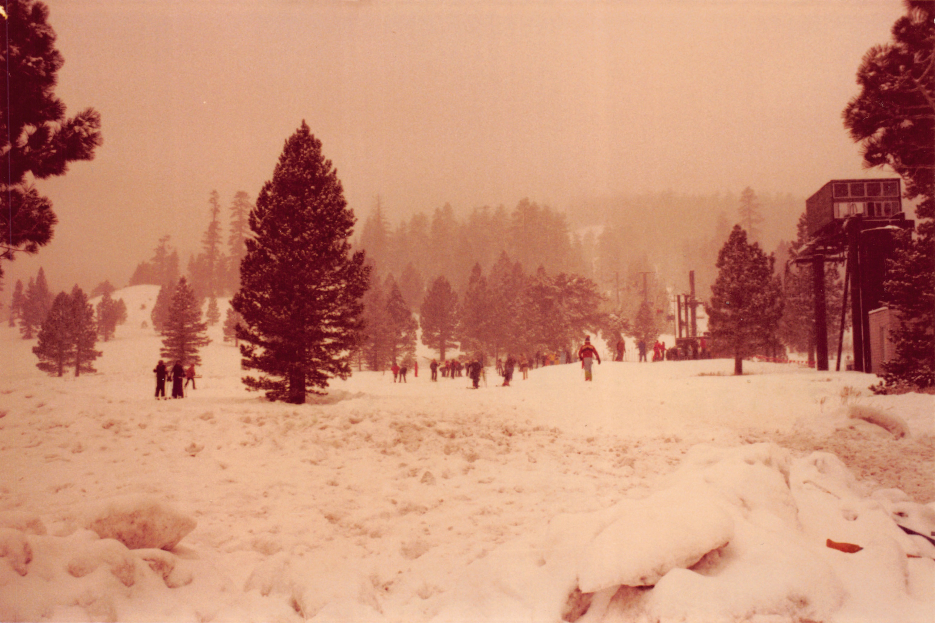 1983d_257.jpg