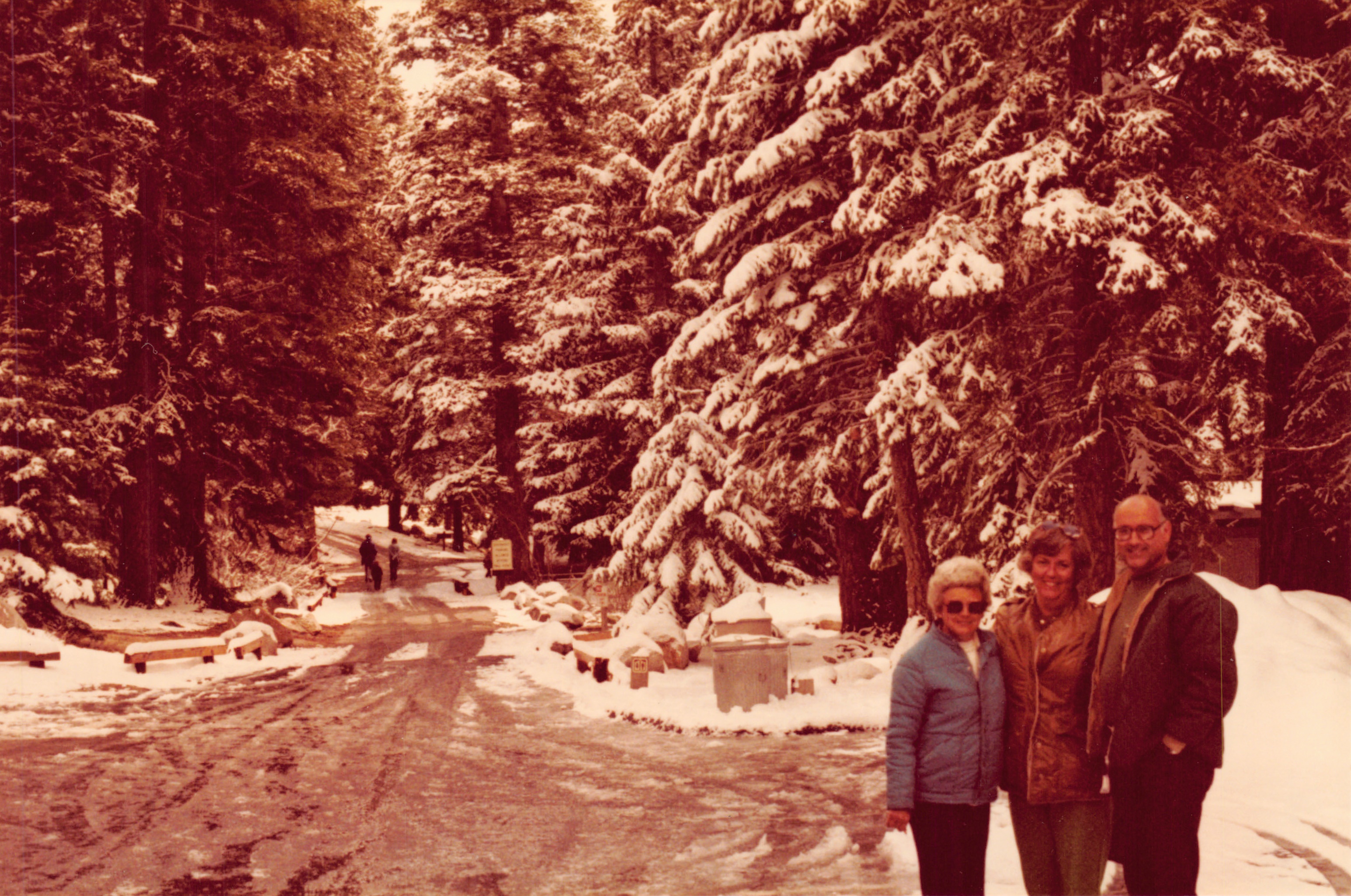 1983d_258.jpg