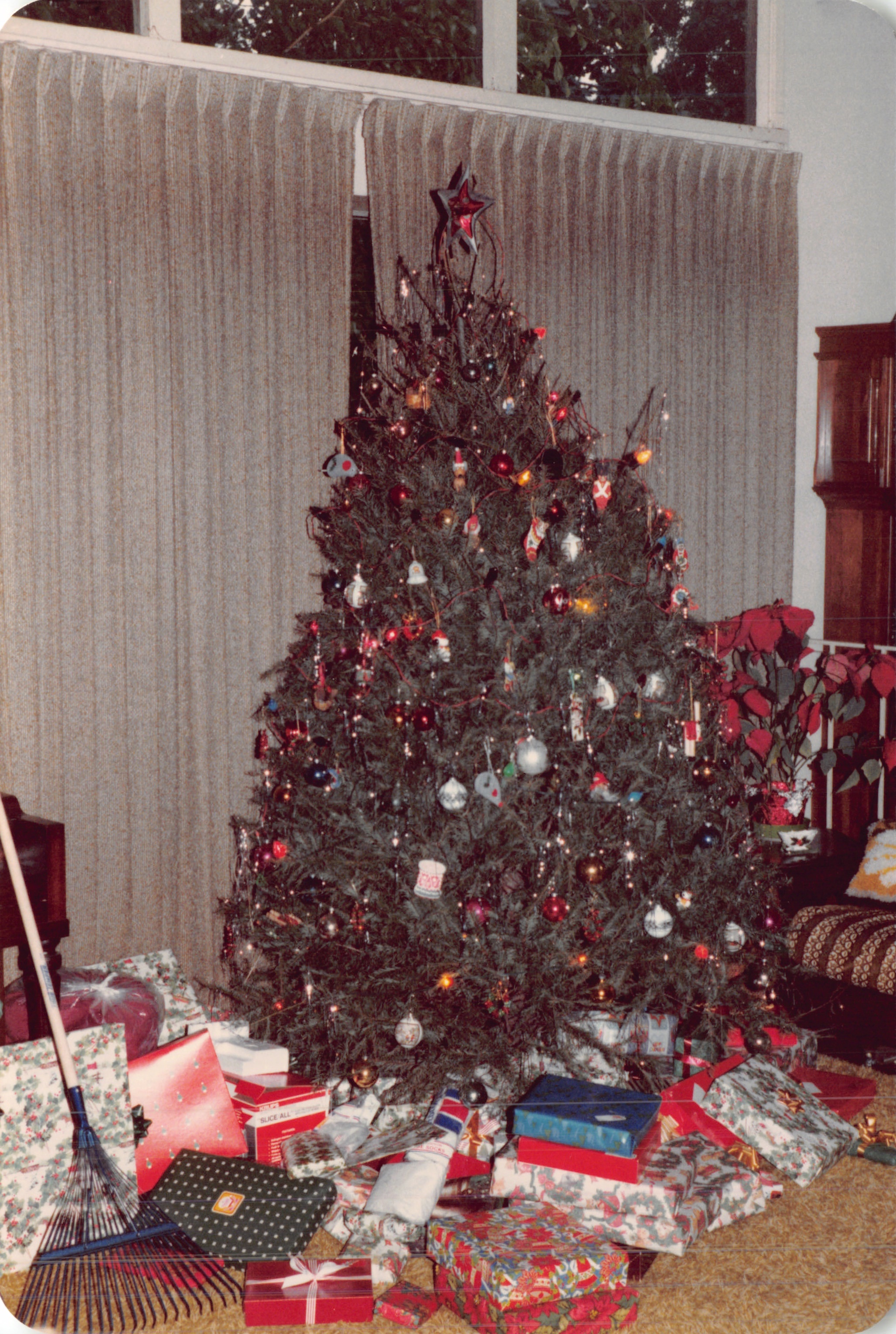 1983e_151.jpg