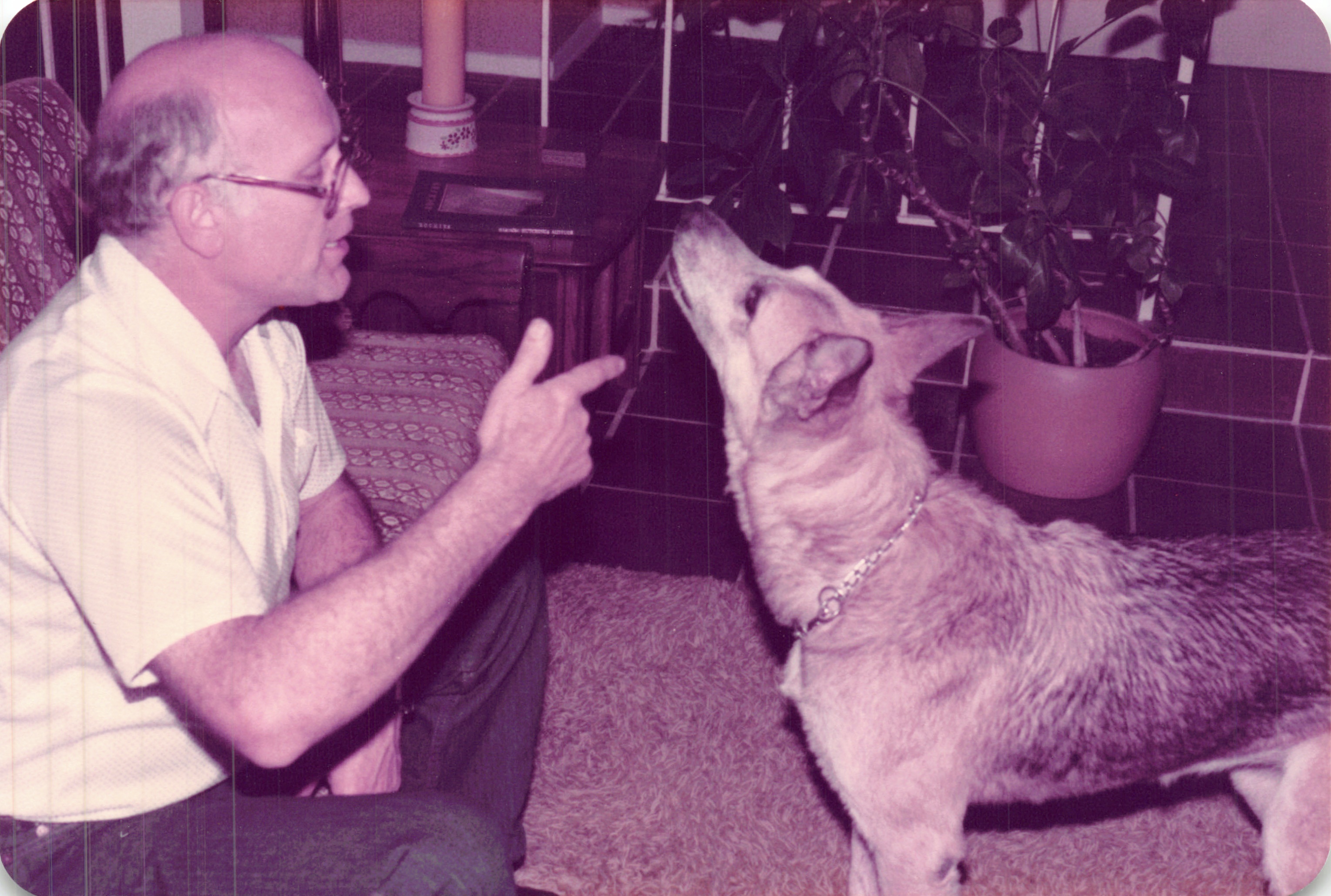 1984_164.jpg