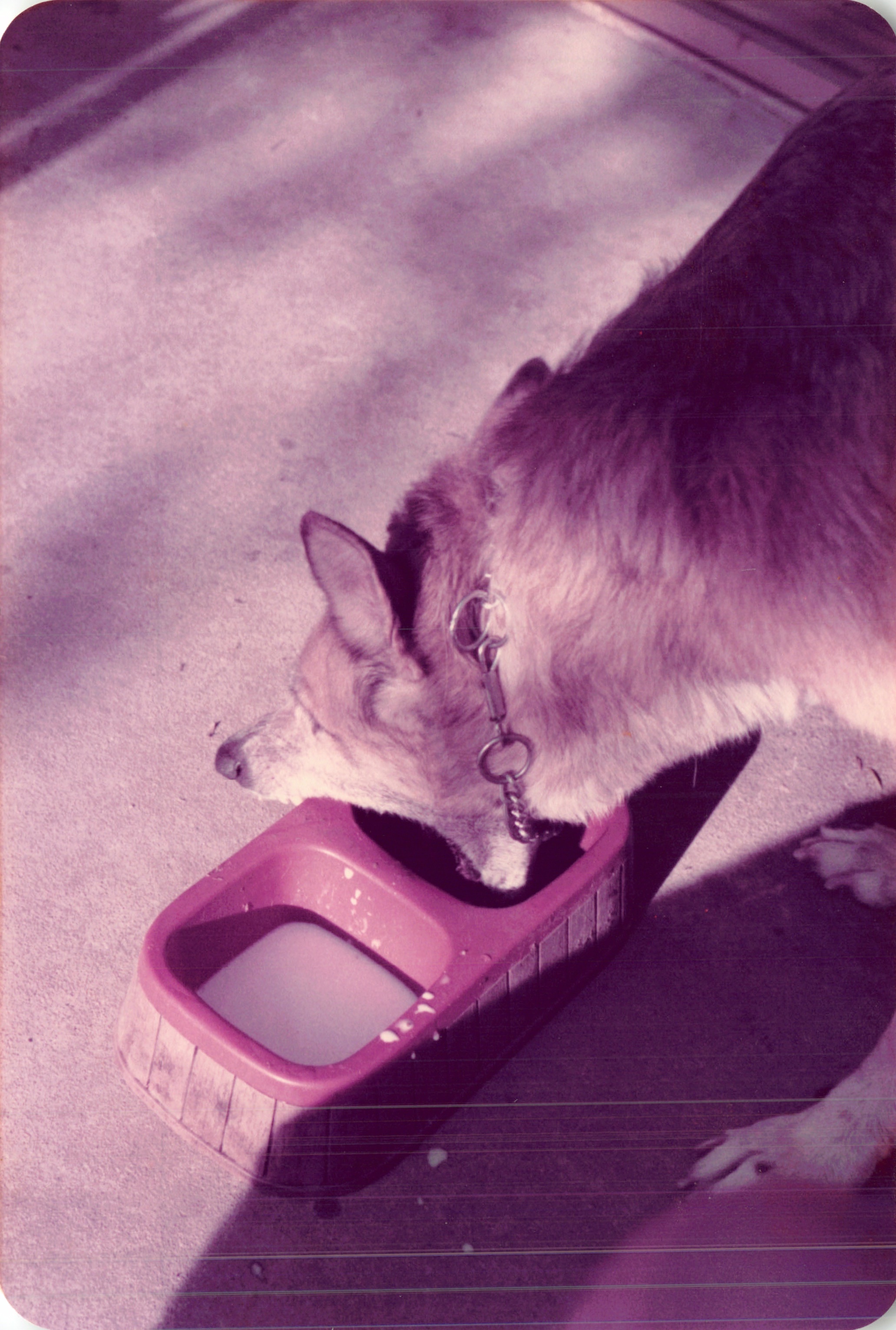 1984_200.jpg