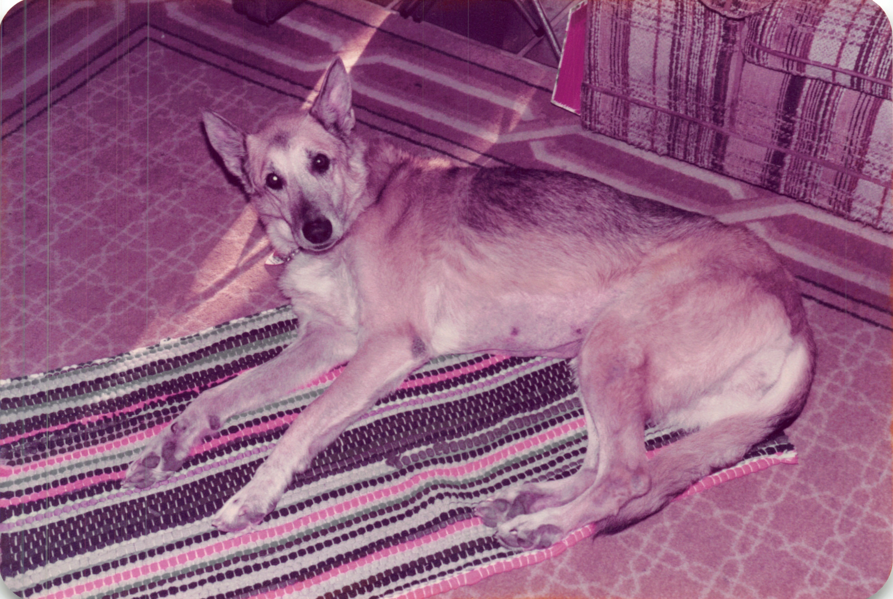 1984_206.jpg