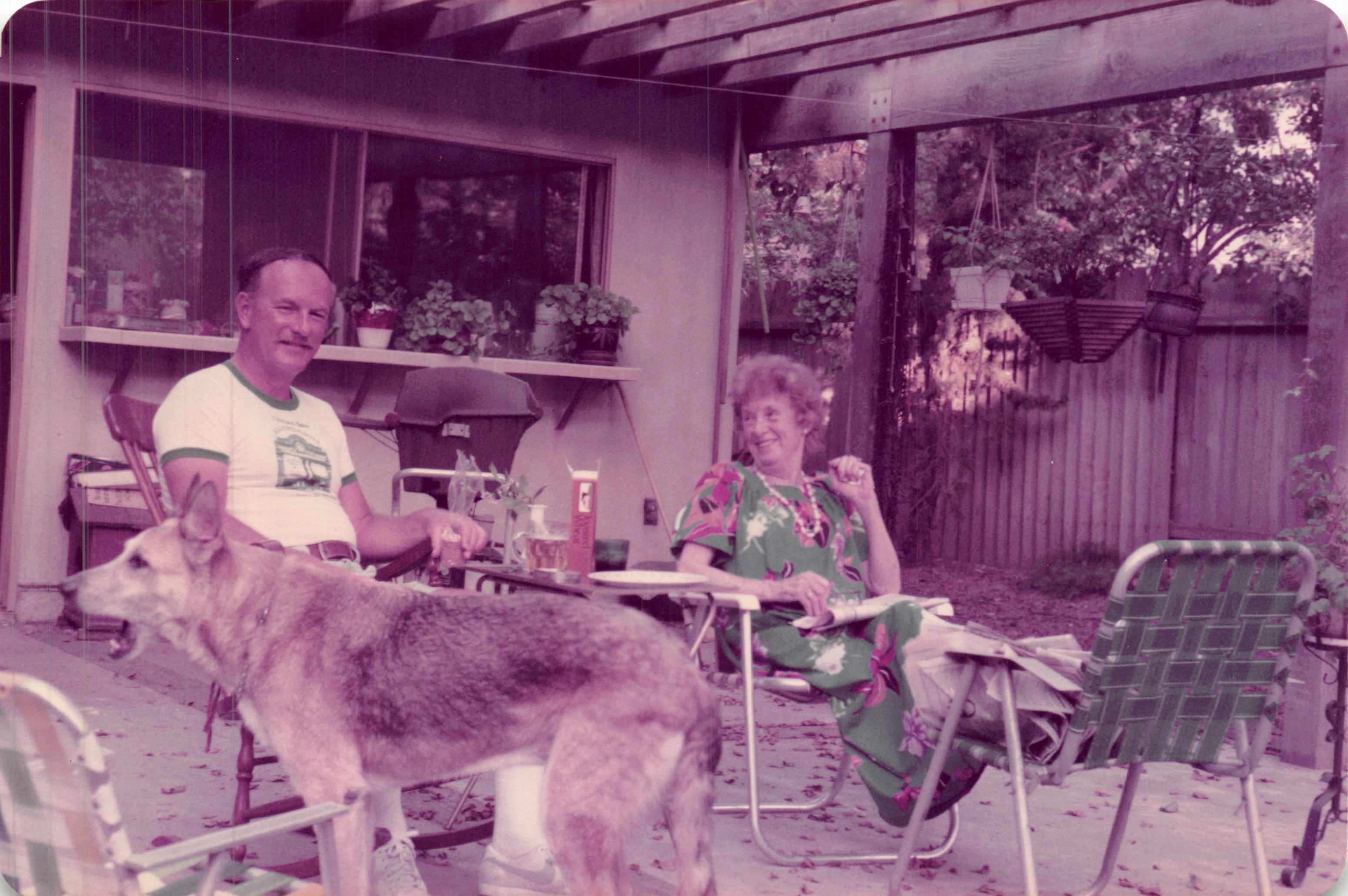 1984_266.jpg