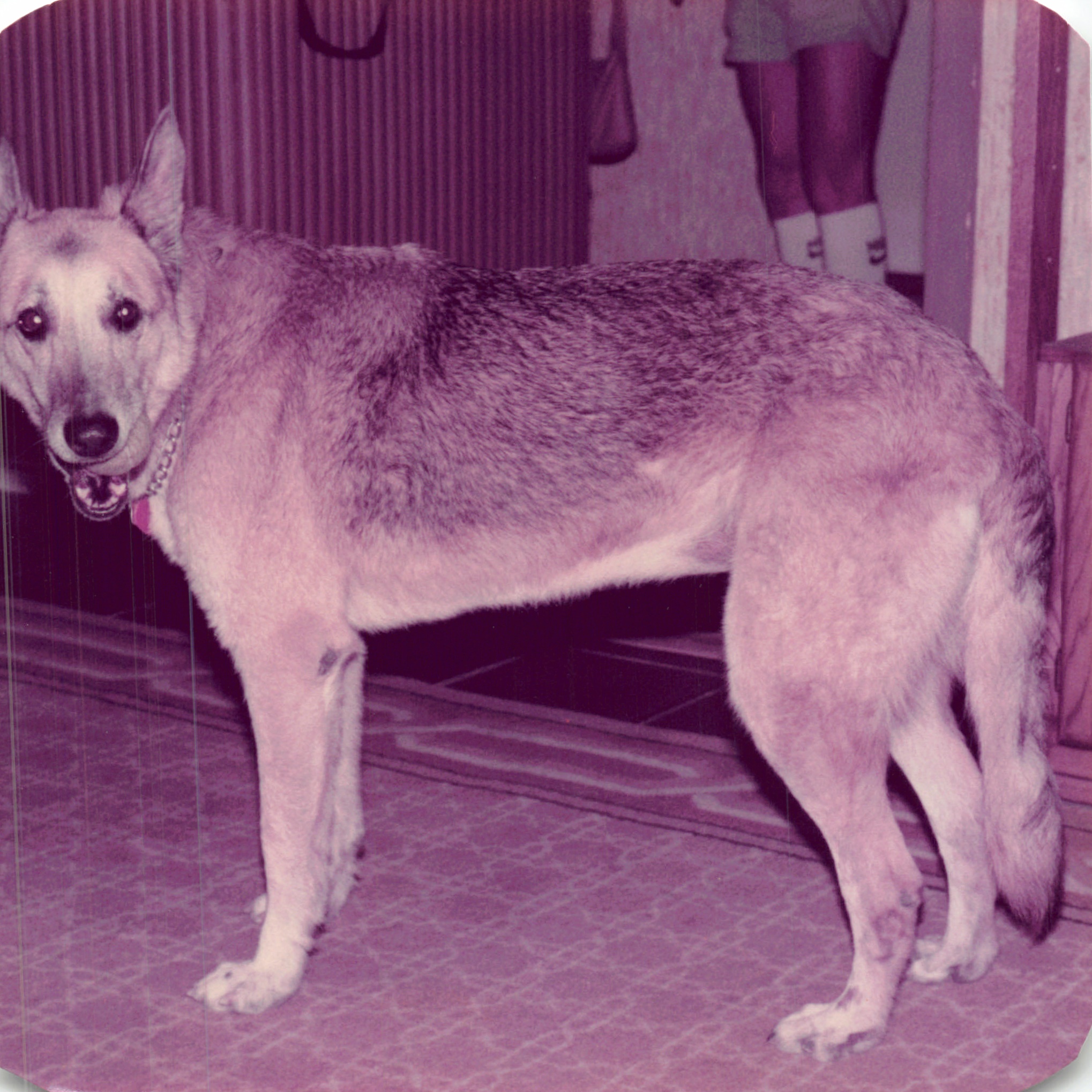 1984_276.jpg