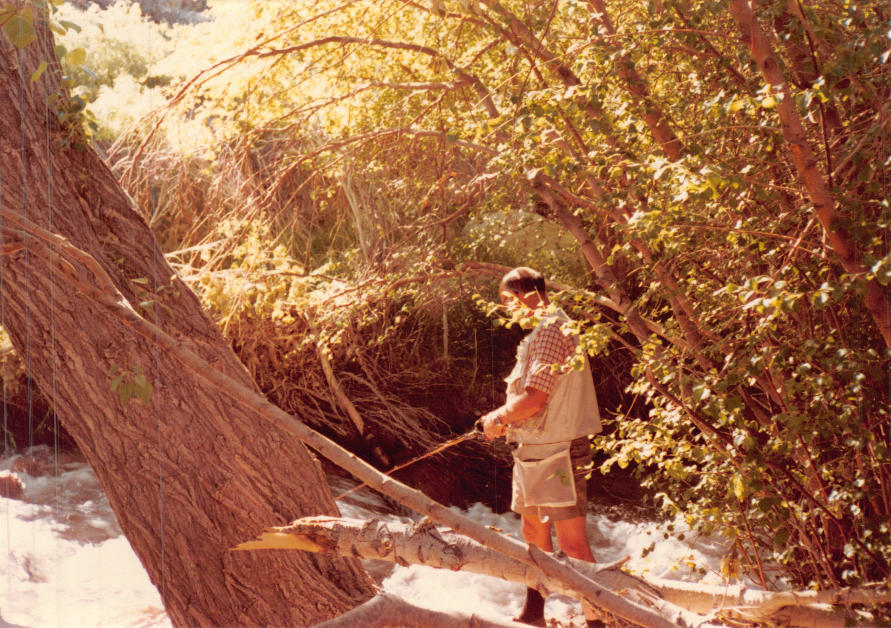 1984_281.jpg