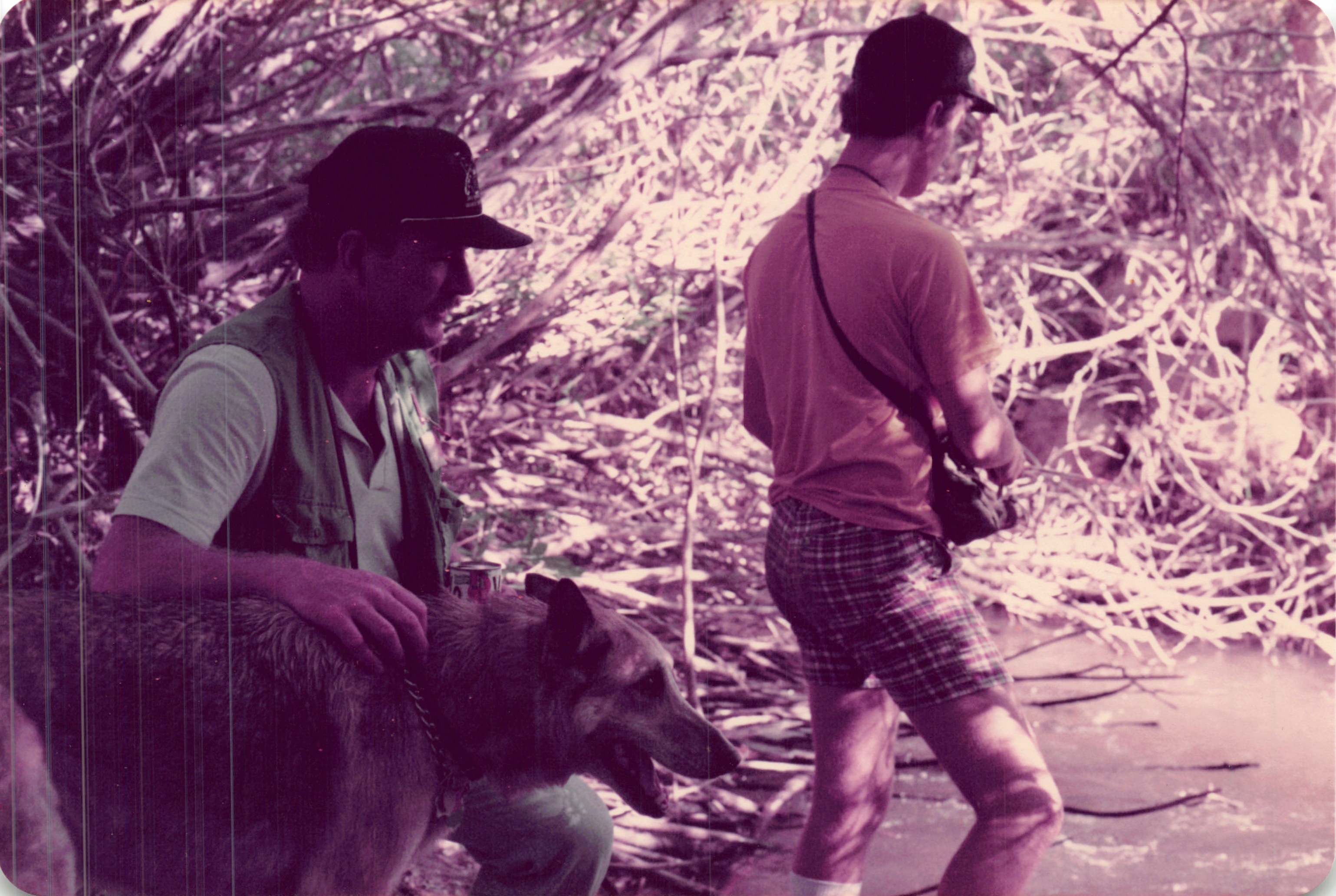 1984_283.jpg