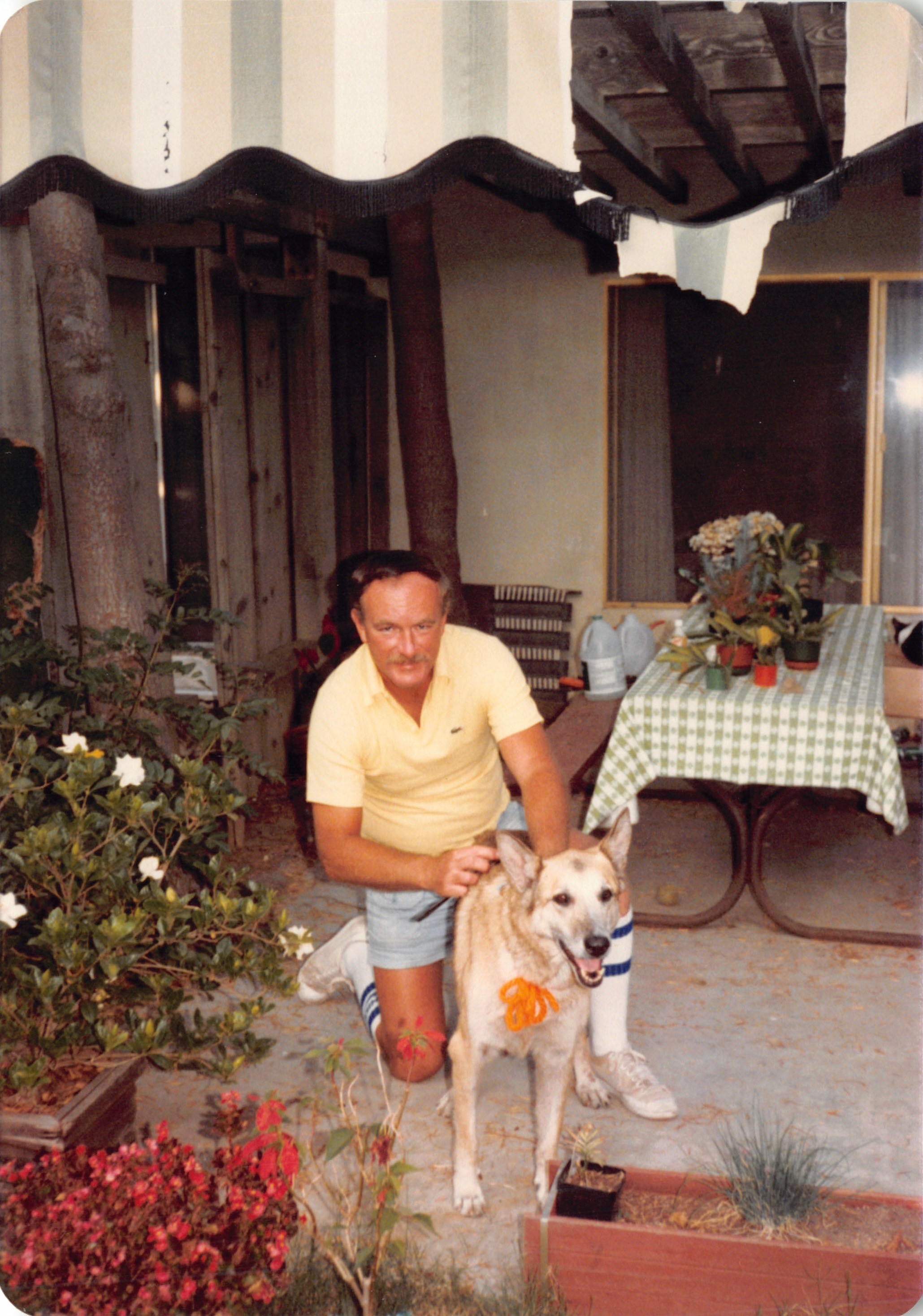 1984_290_043.jpg