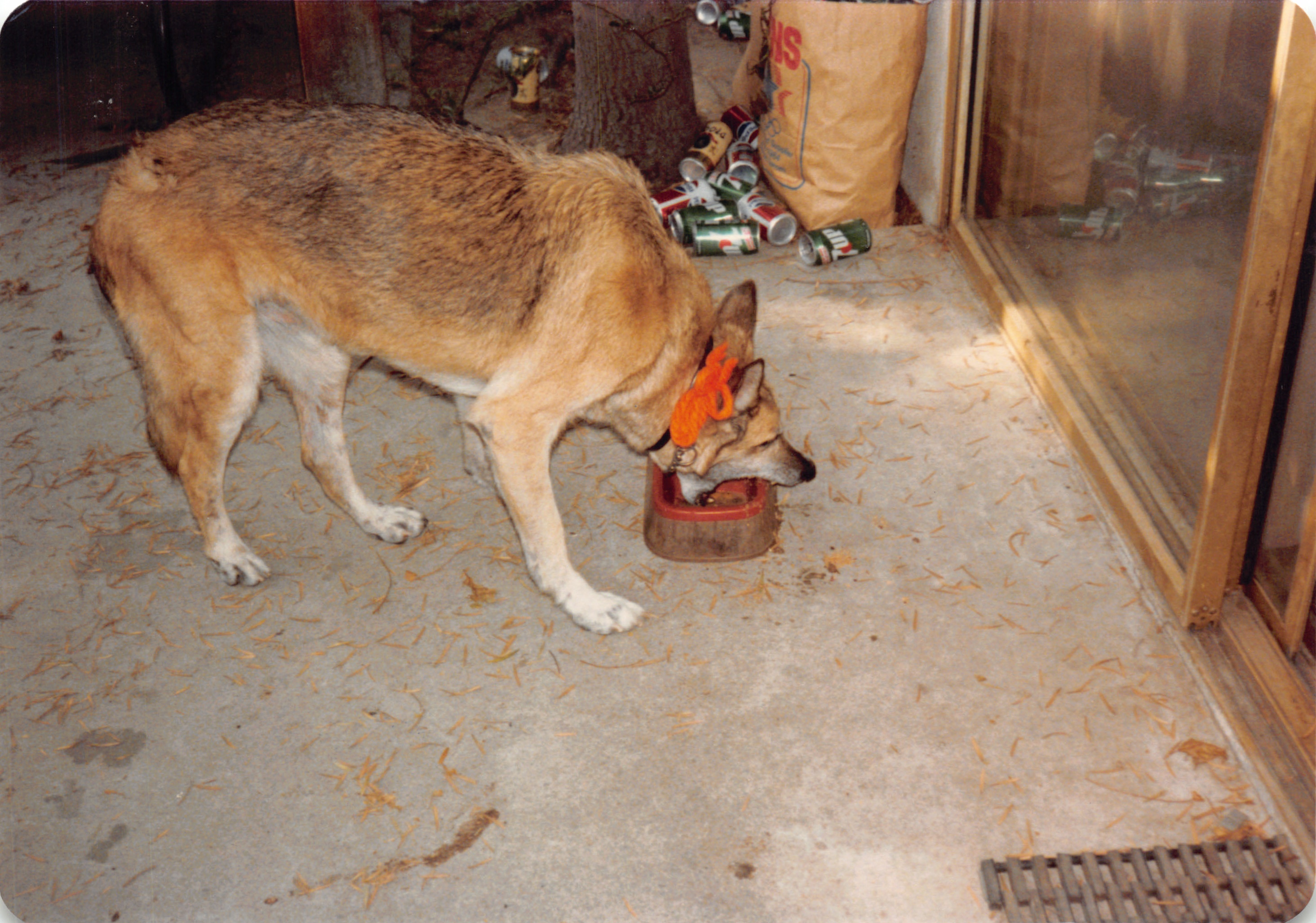 1984_290_045.jpg
