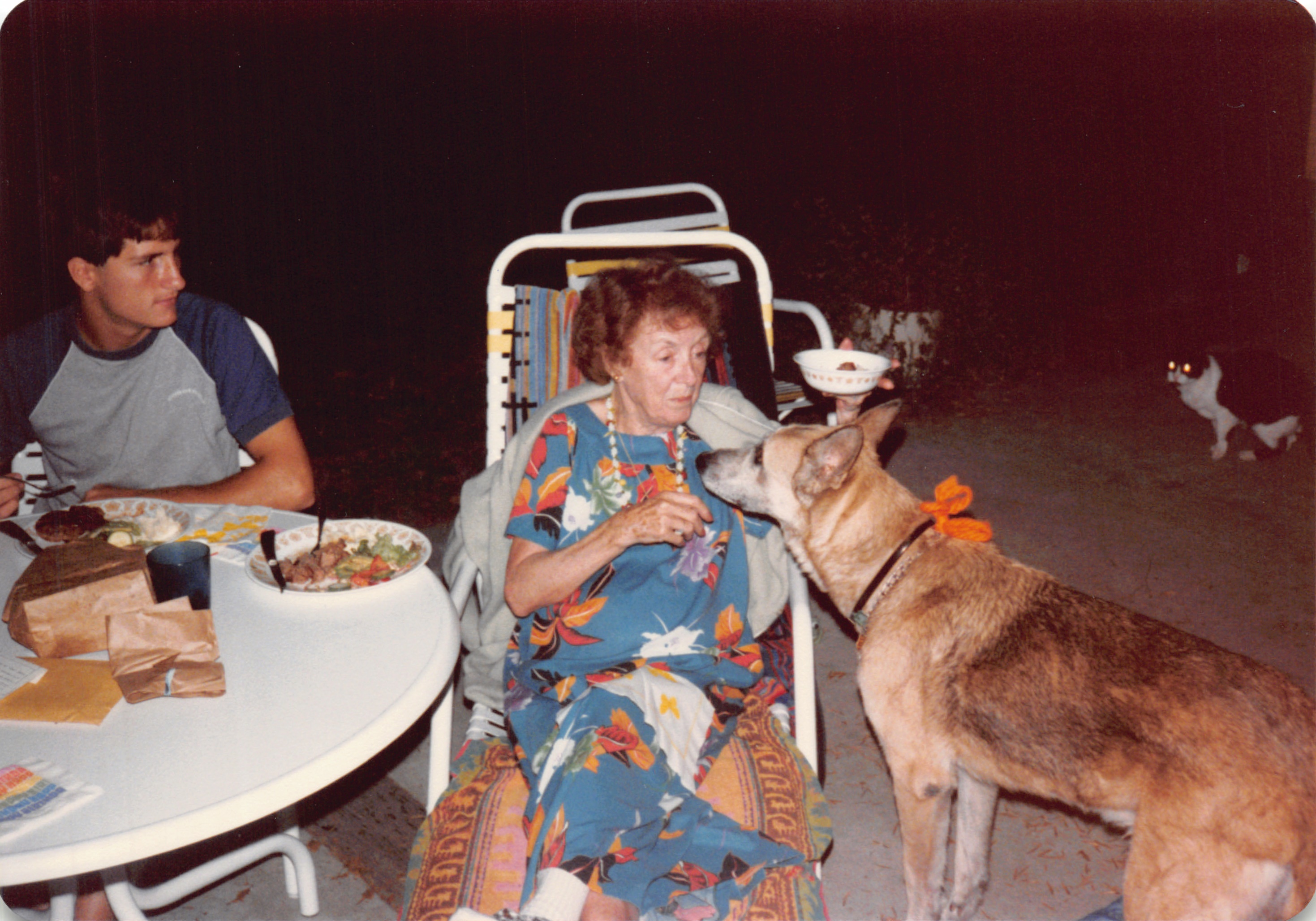 1984_290_049.jpg