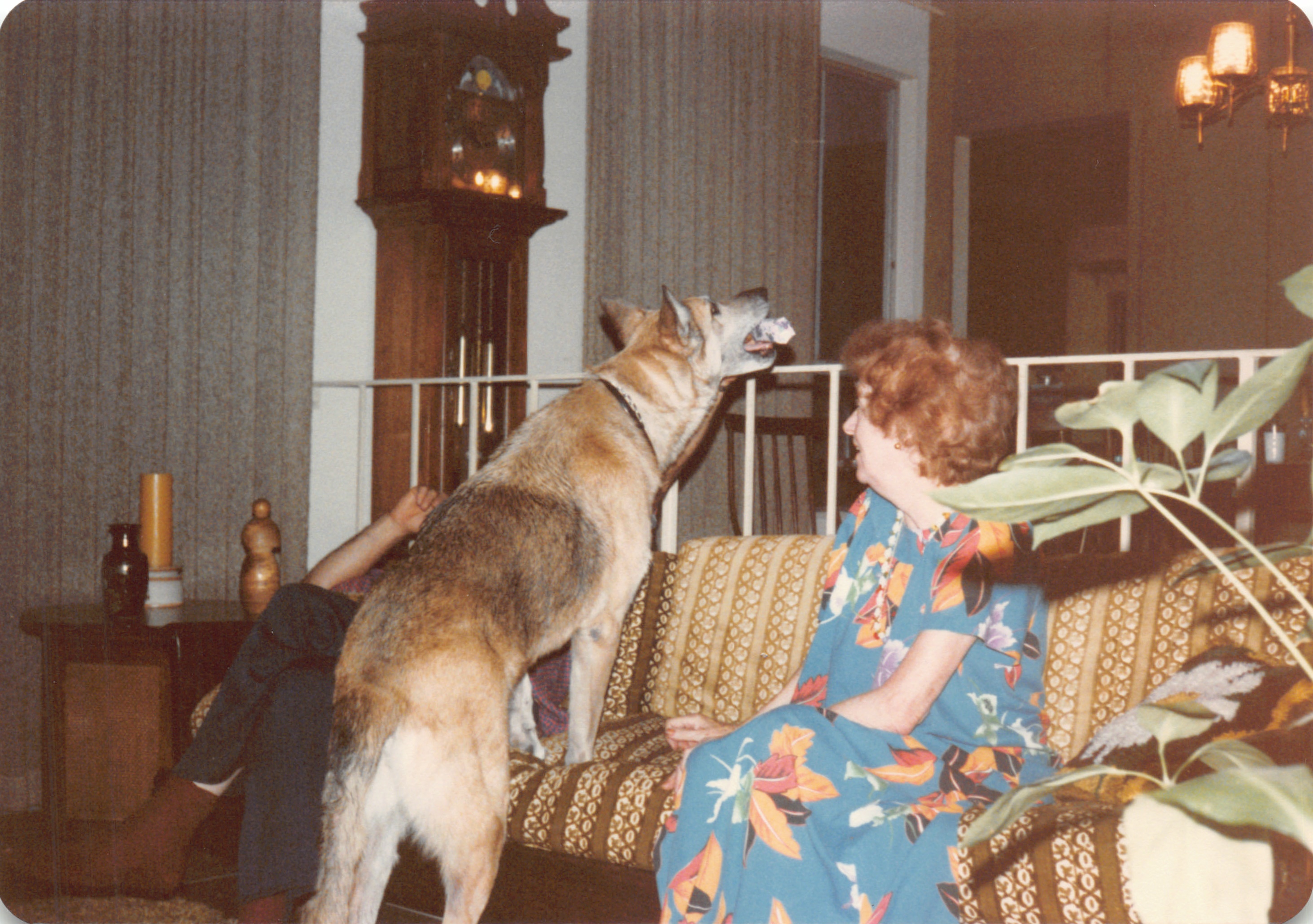 1984_290_053.jpg