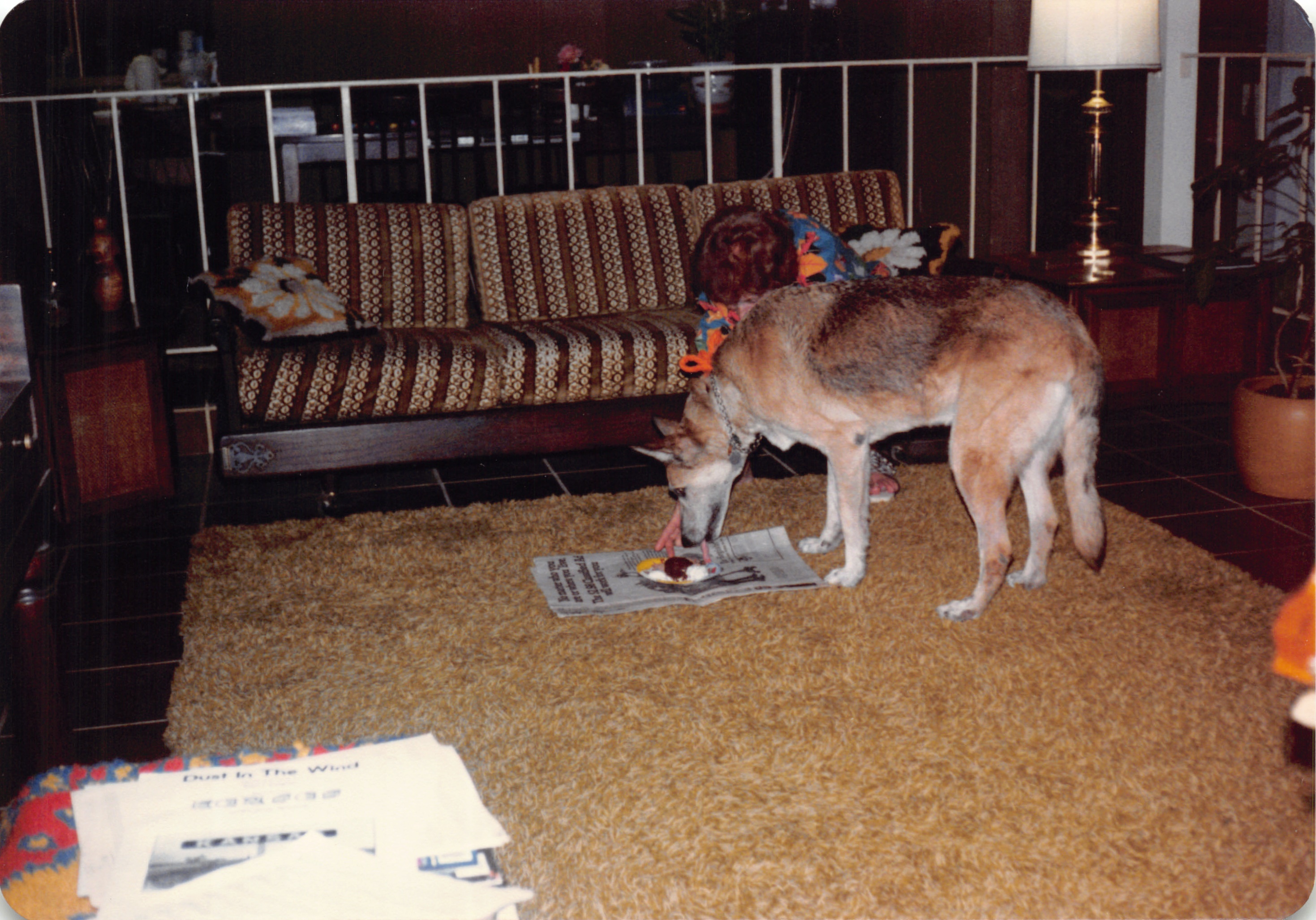 1984_290_061.jpg