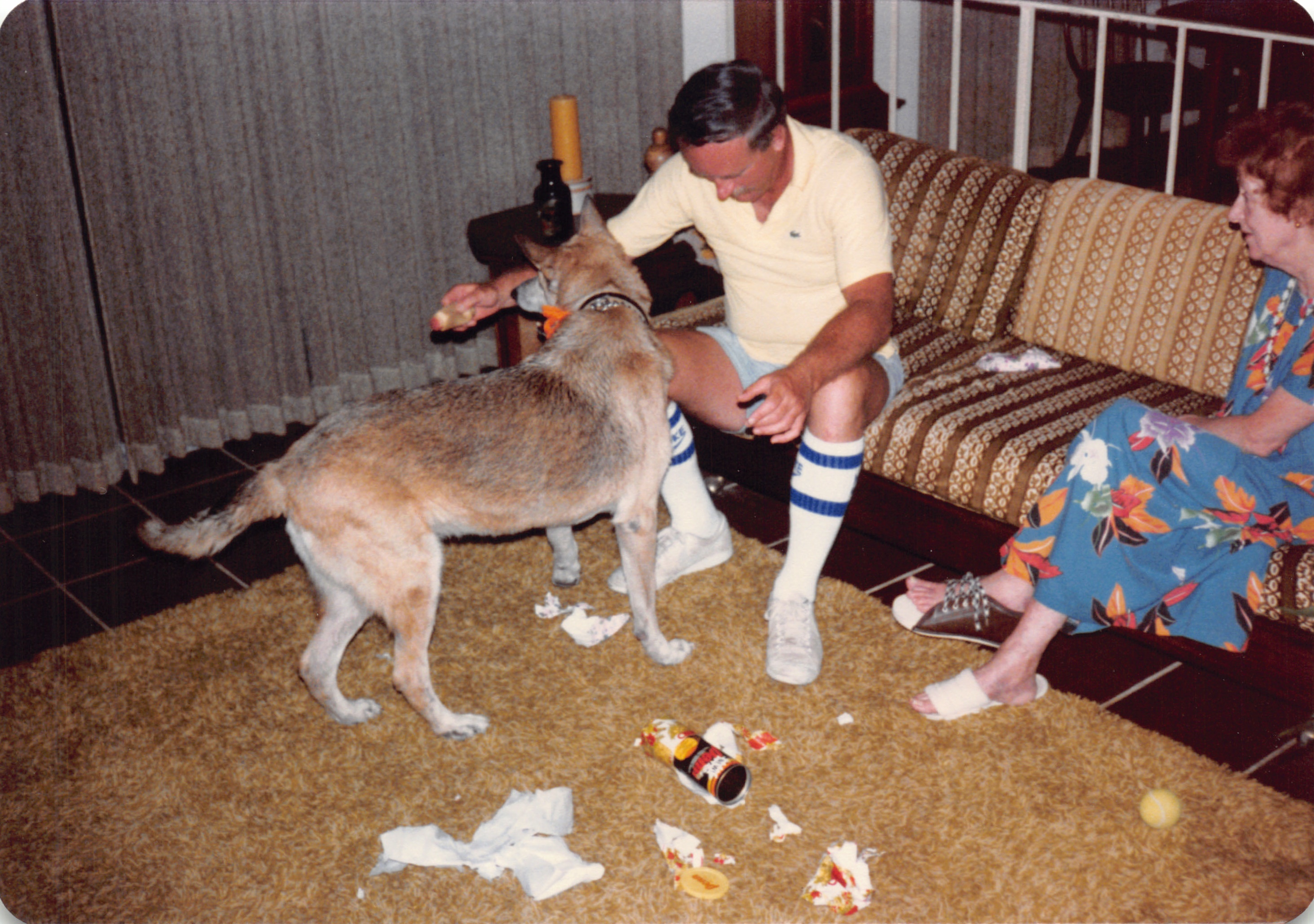 1984_290_063.jpg