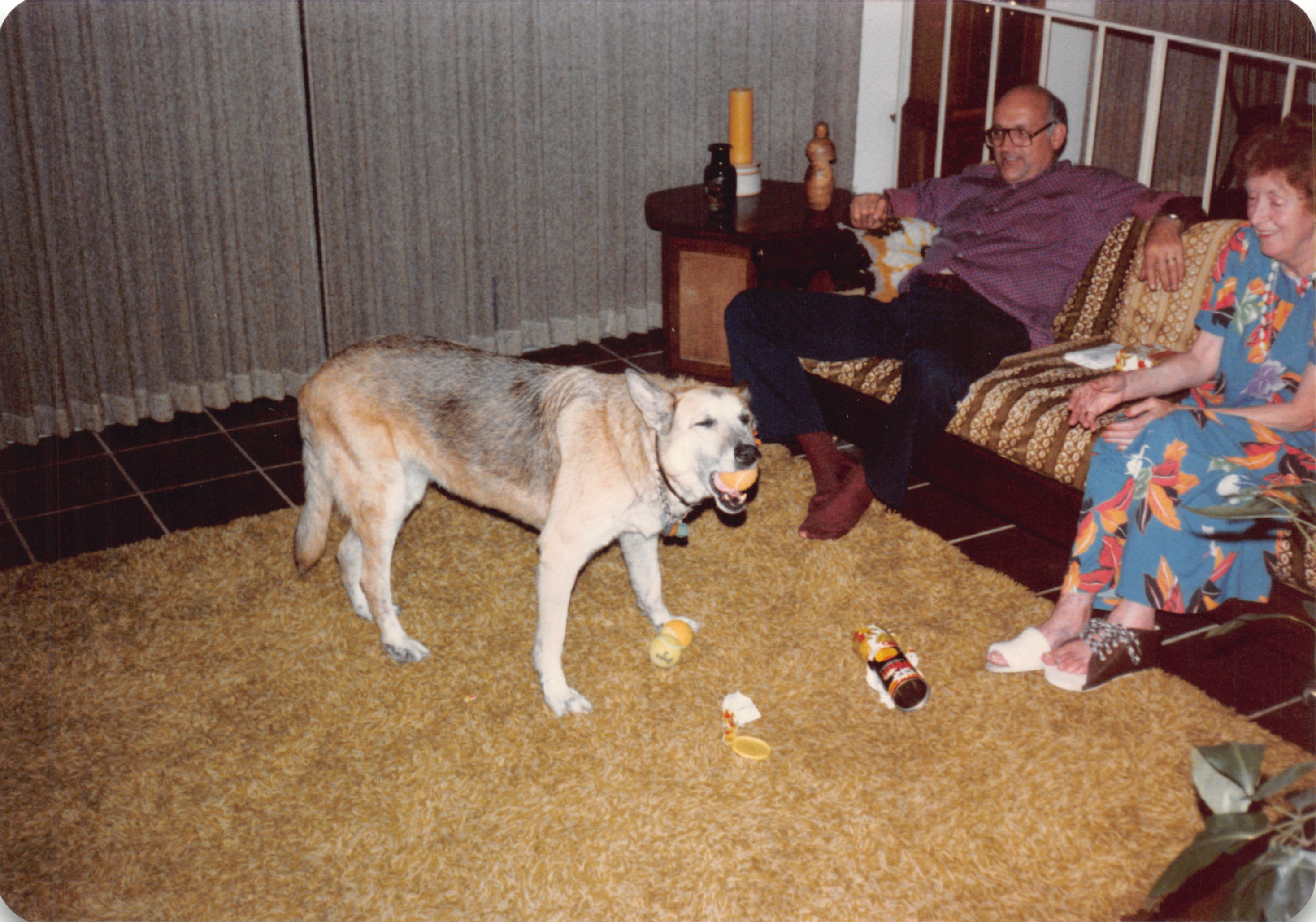 1984_290_065.jpg