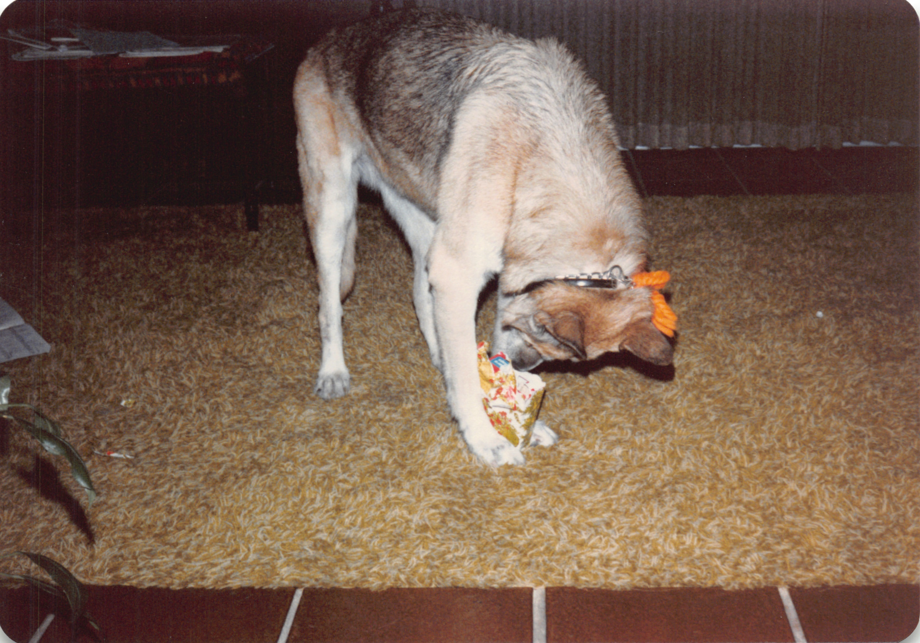 1984_290_067.jpg
