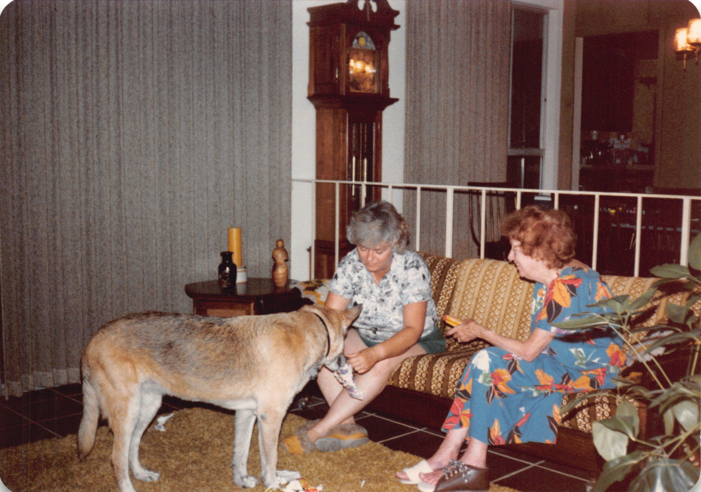 1984_290_069.jpg
