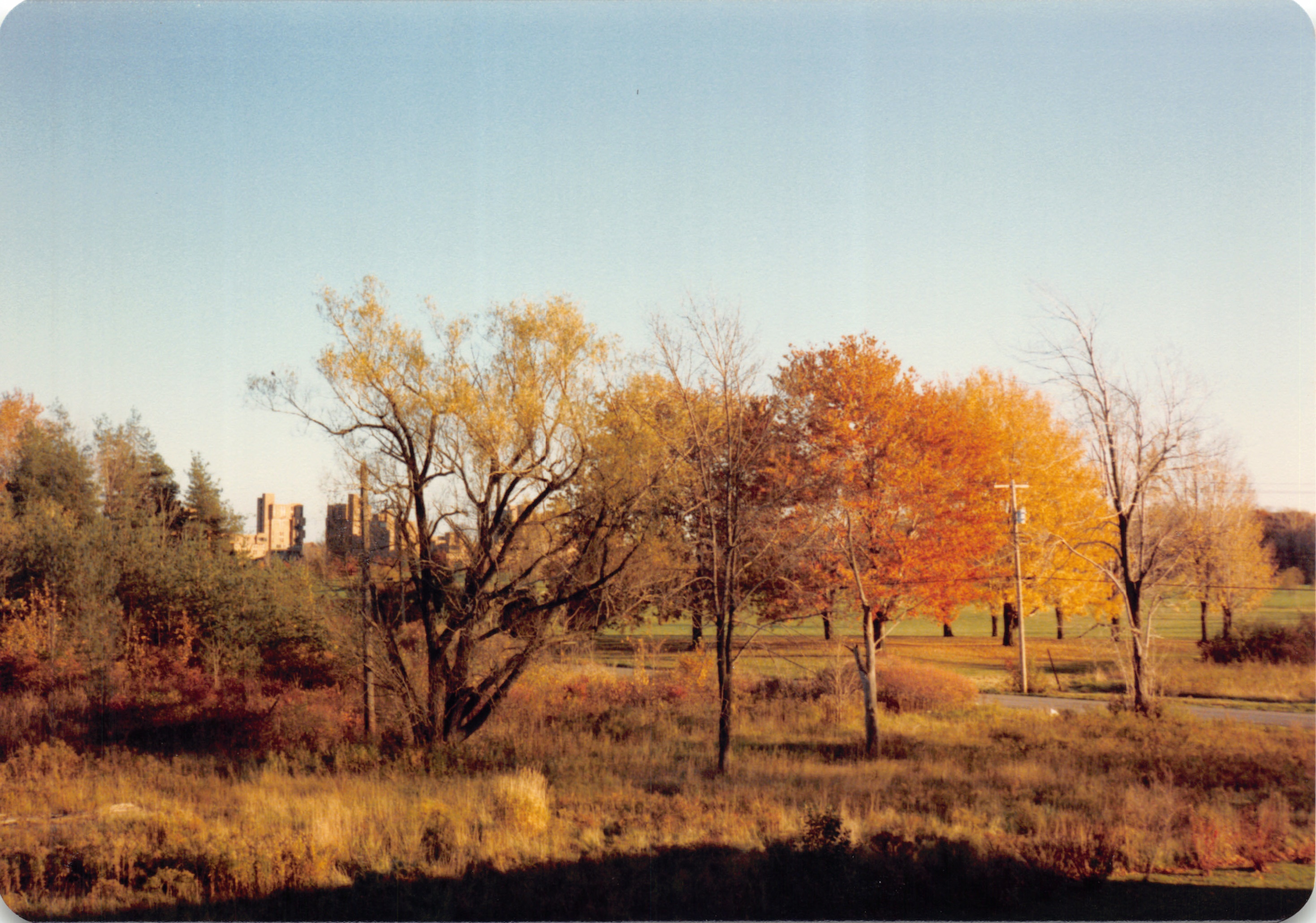 1984_290_103.jpg