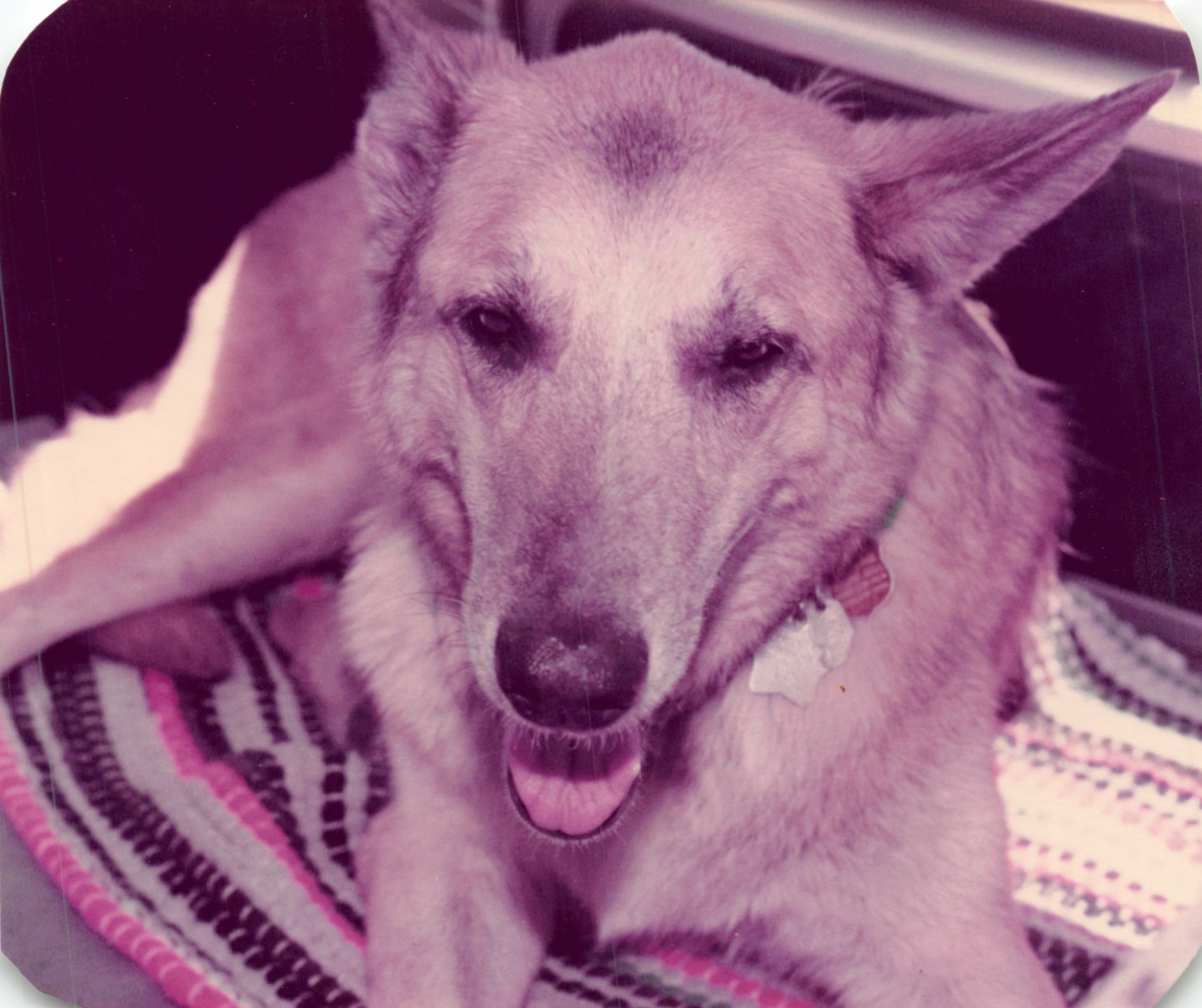 1984_293.jpg