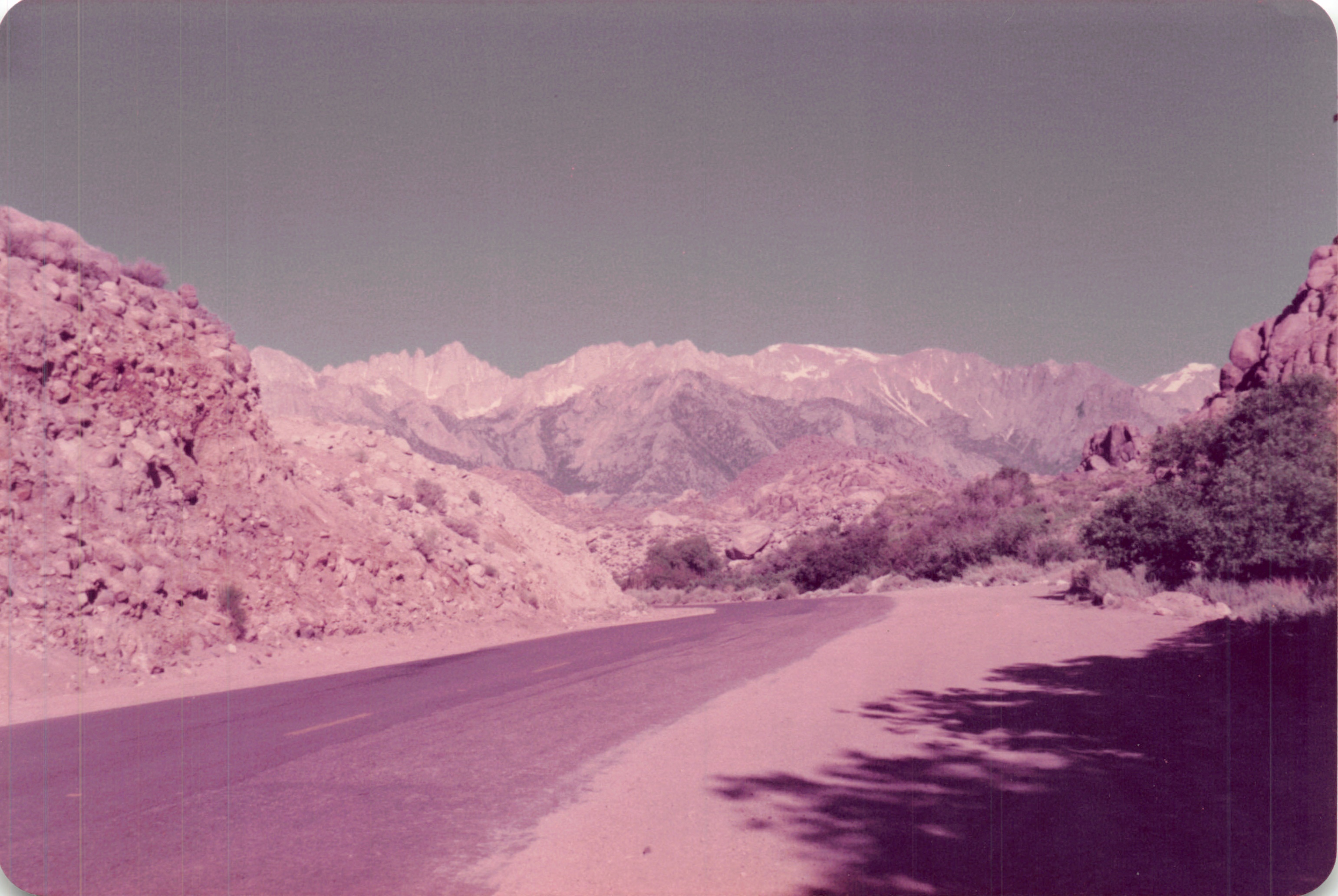 1984_295.jpg