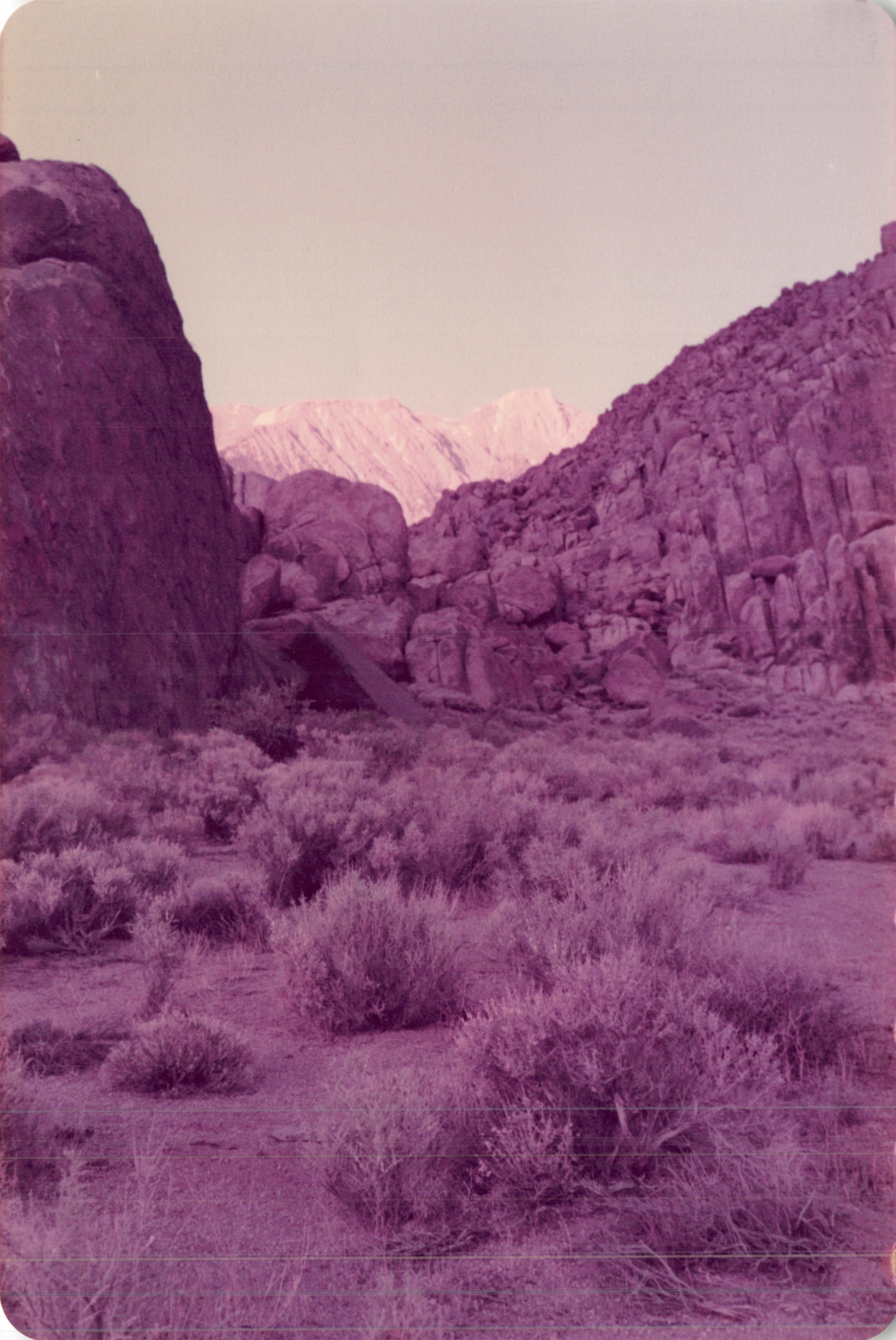 1984_297.jpg