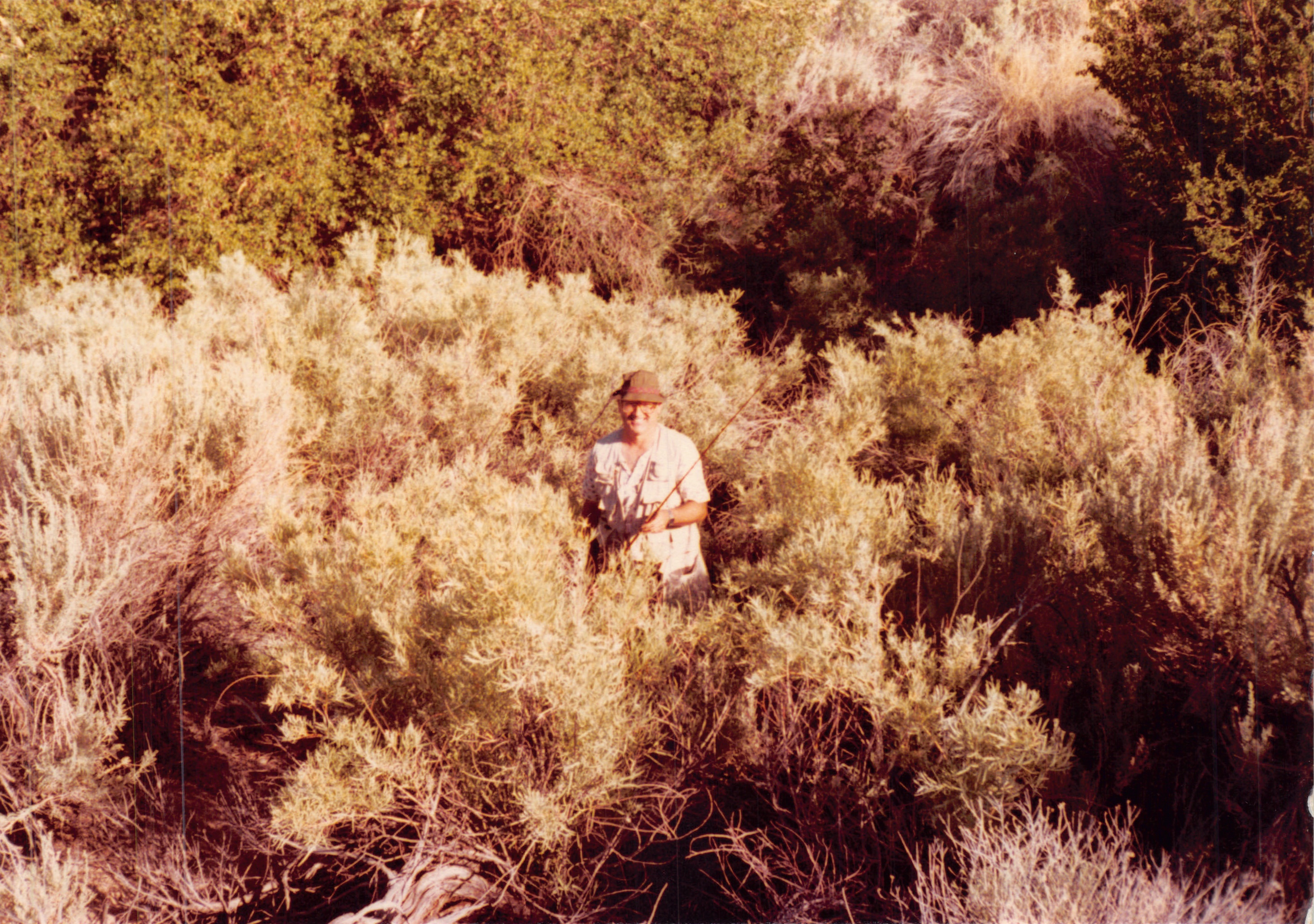 1984_299.jpg