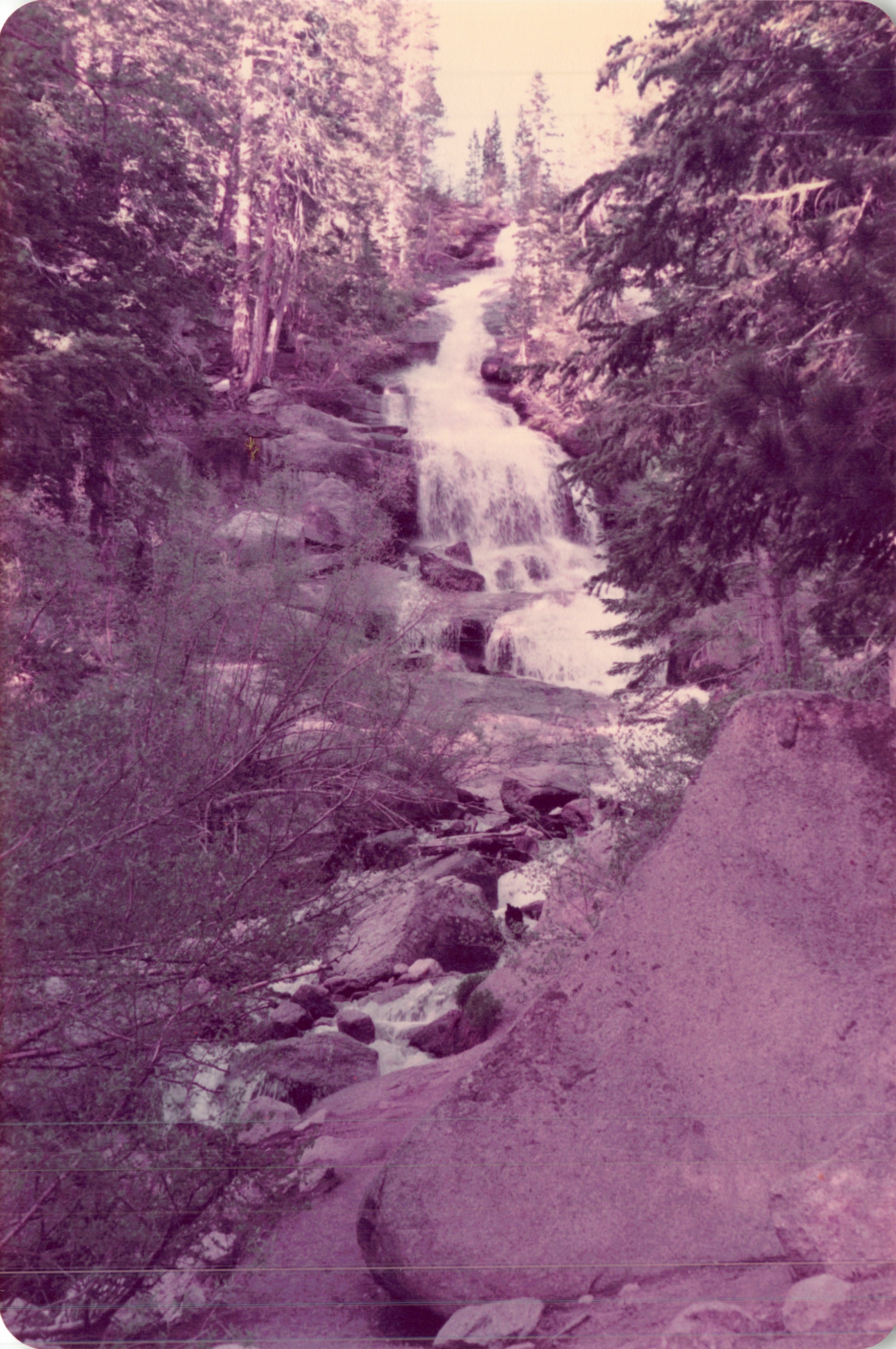 1984_301.jpg