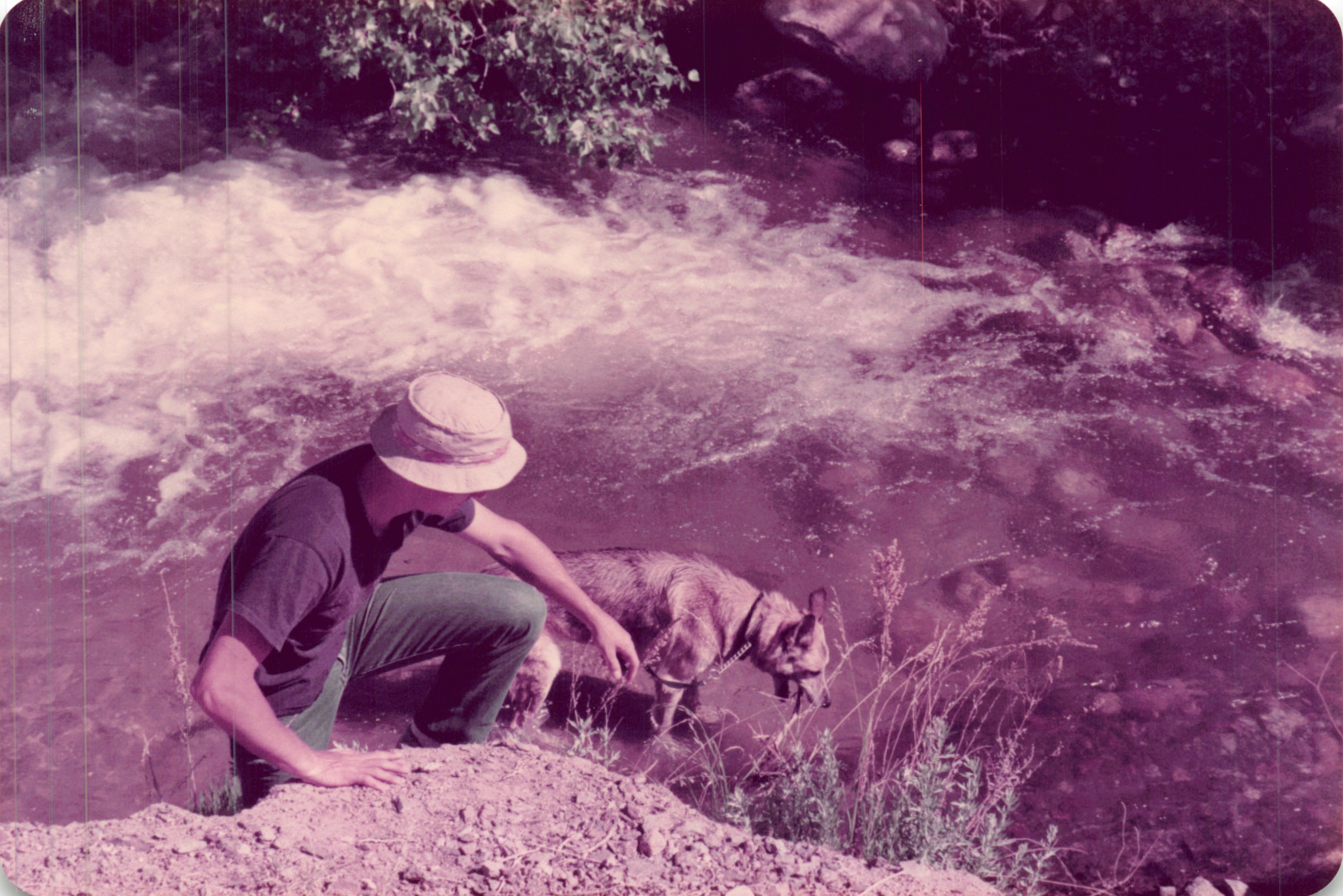1984_313.jpg