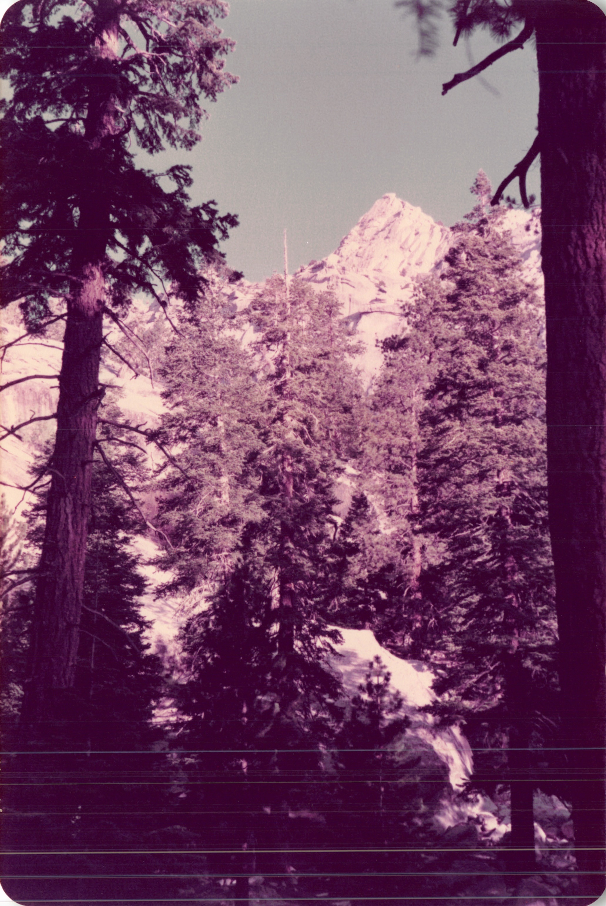 1984_315.jpg