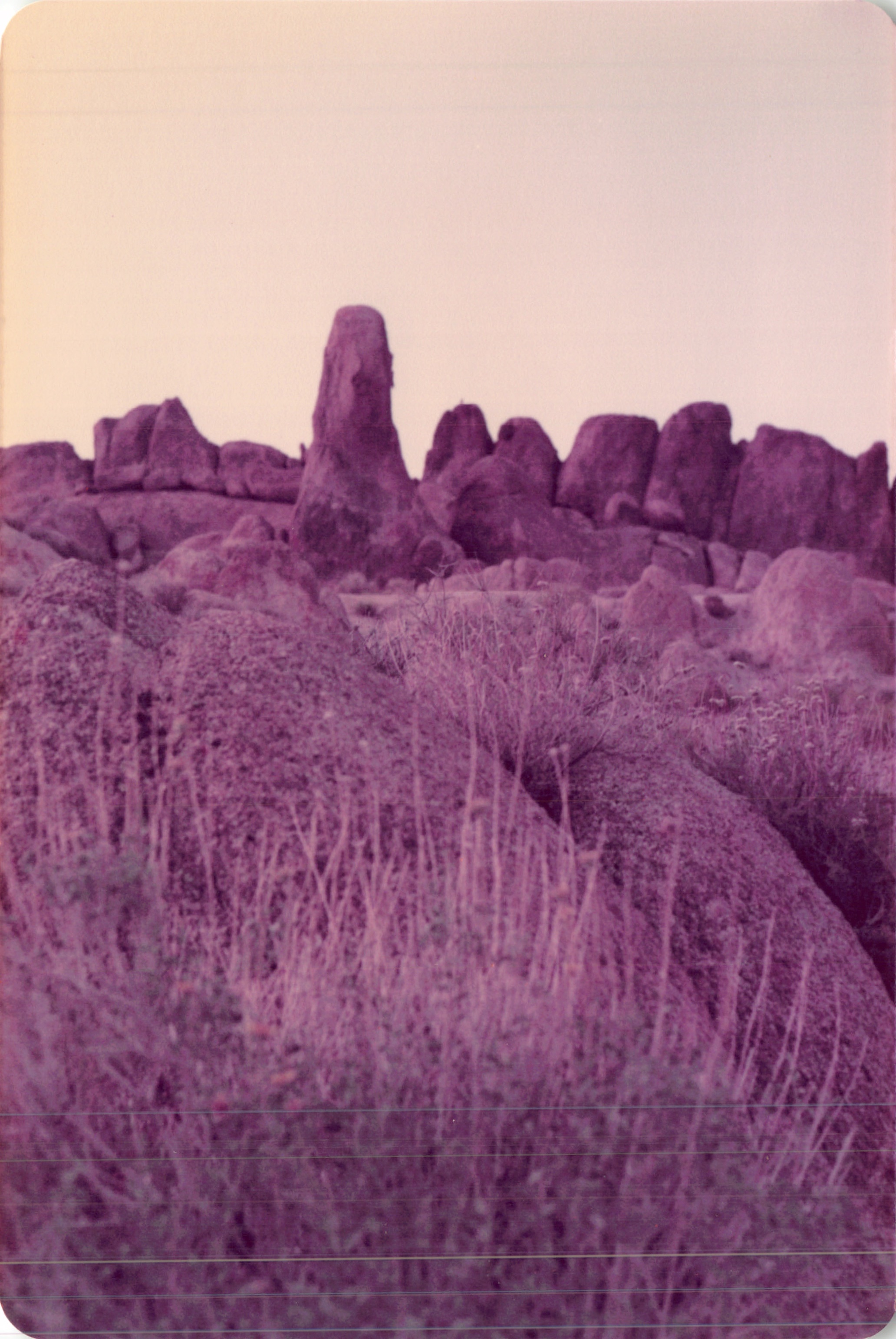 1984_317.jpg