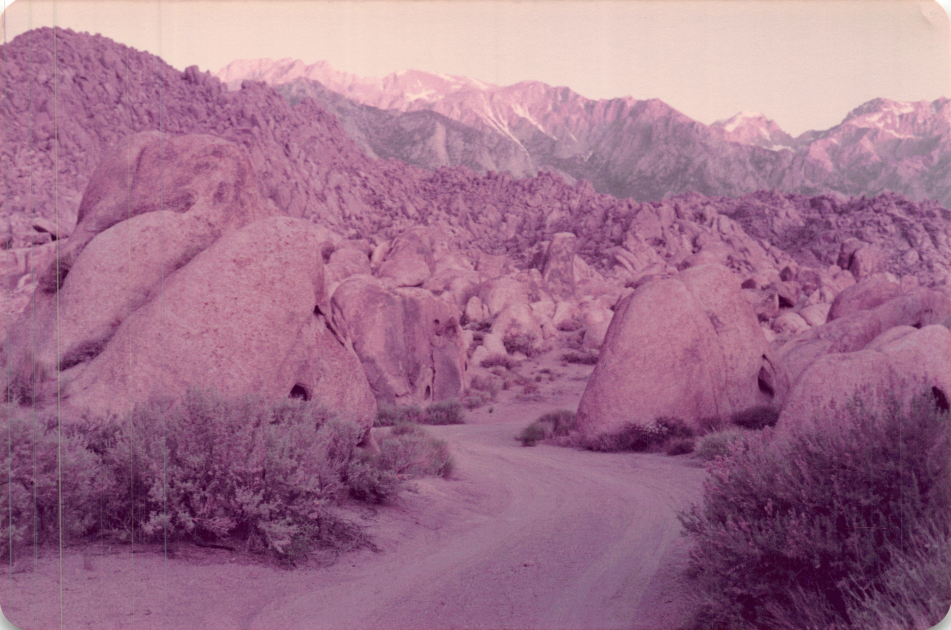 1984_319.jpg