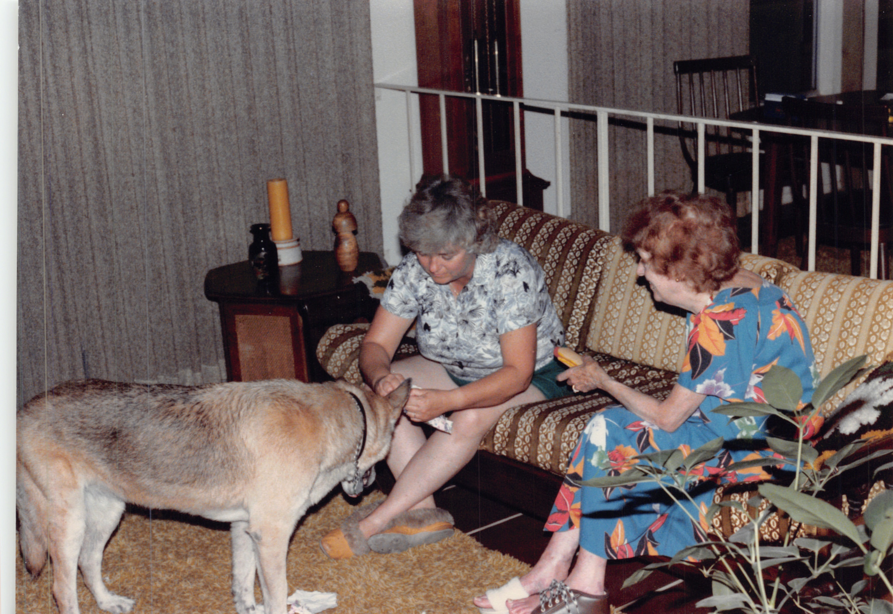 1984_336.jpg