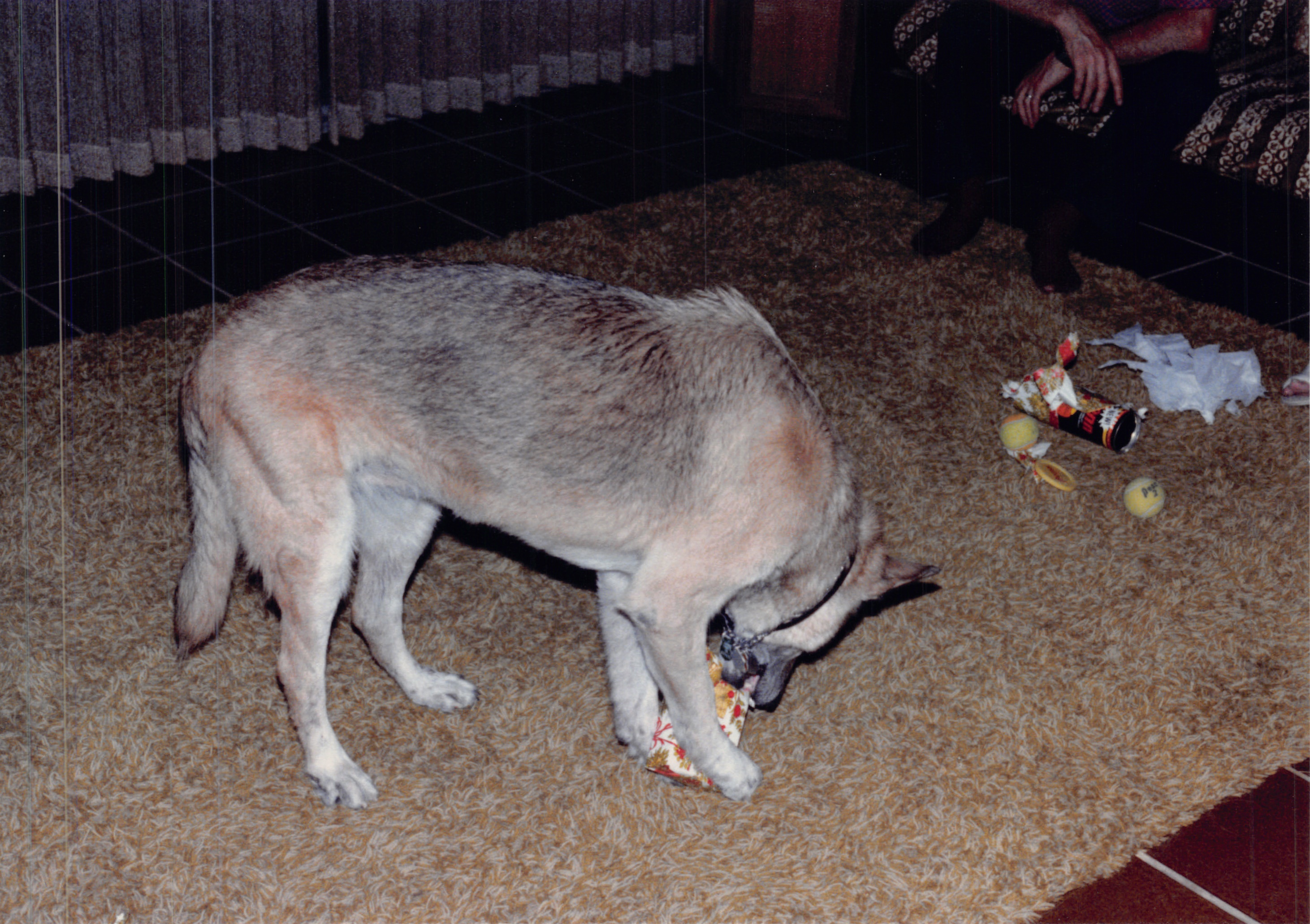 1984_338.jpg