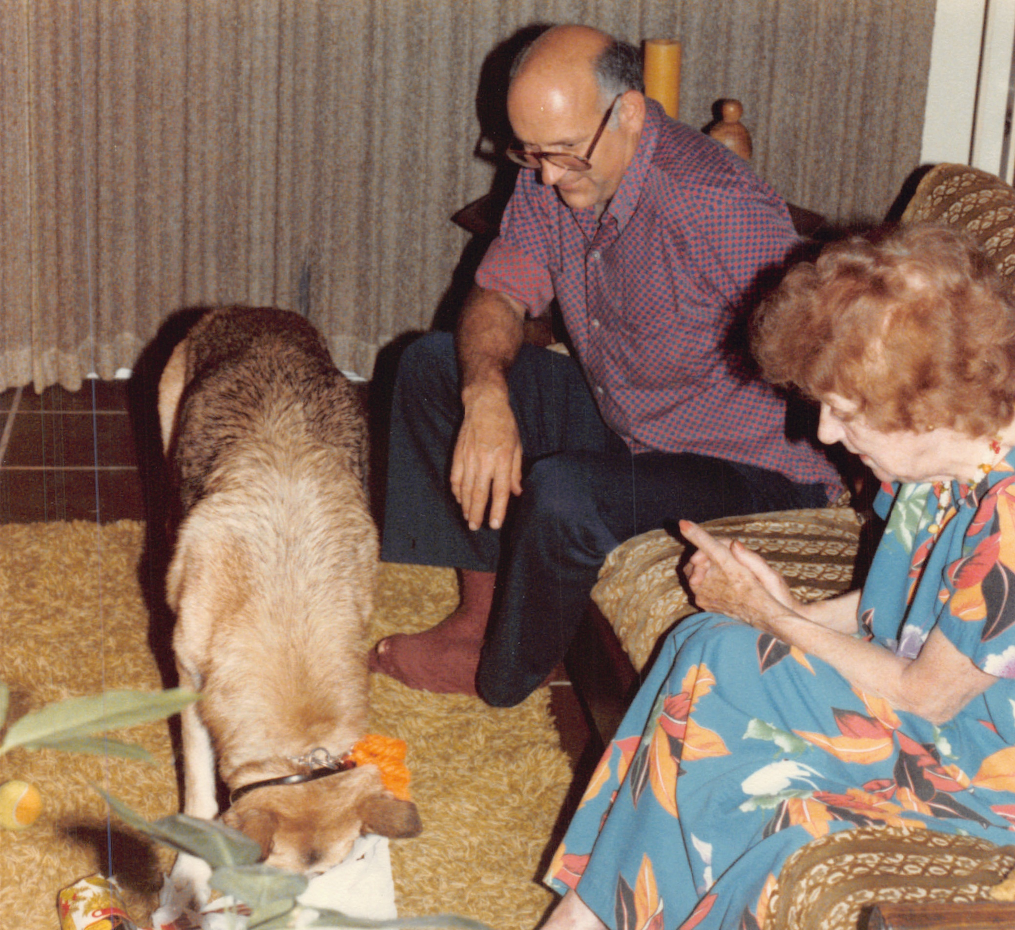 1984_340.jpg