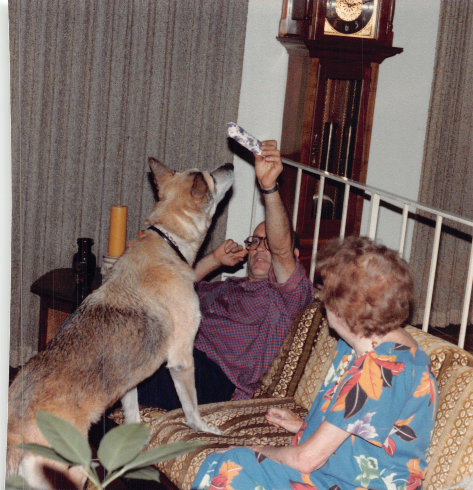 1984_342.jpg