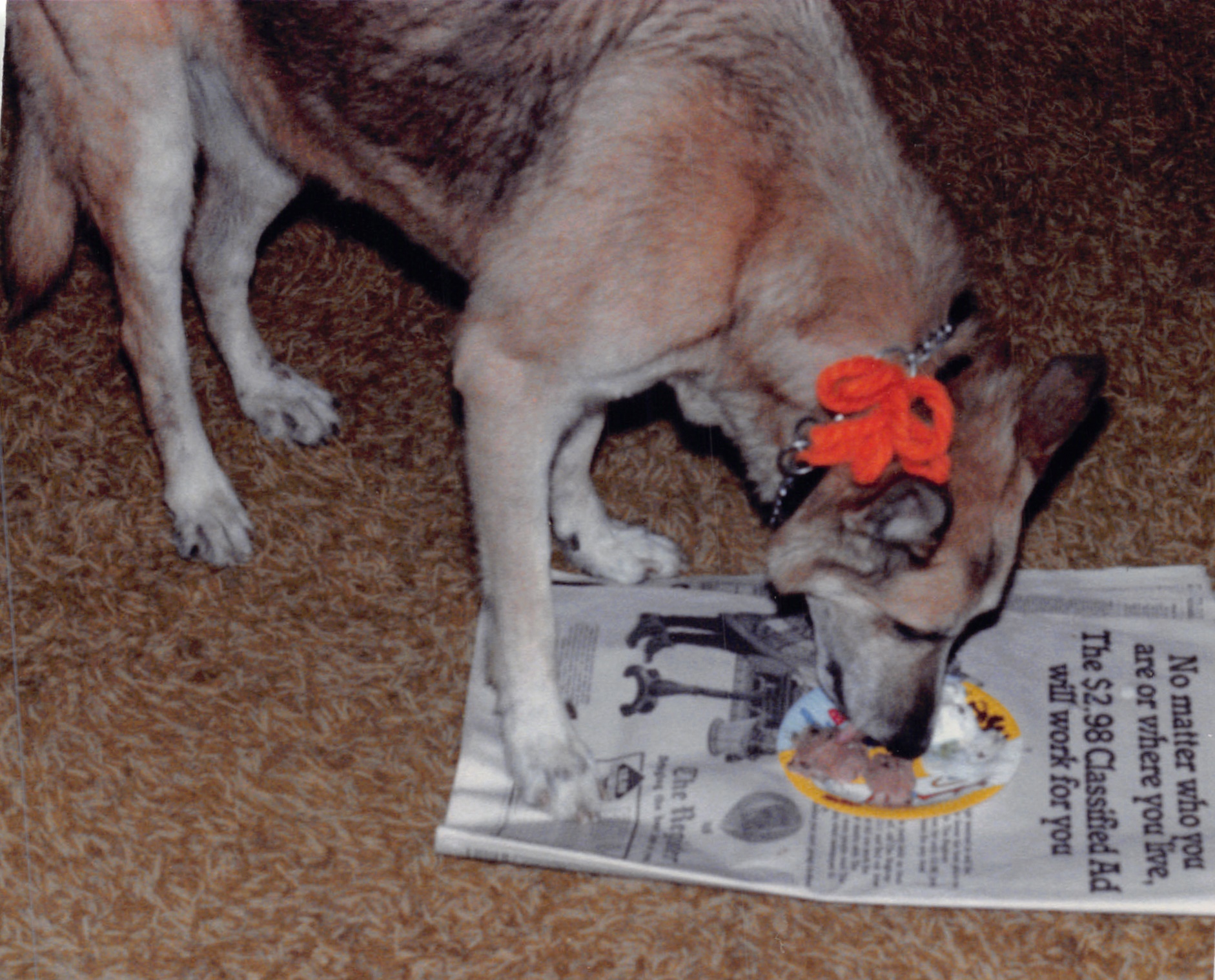 1984_346.jpg