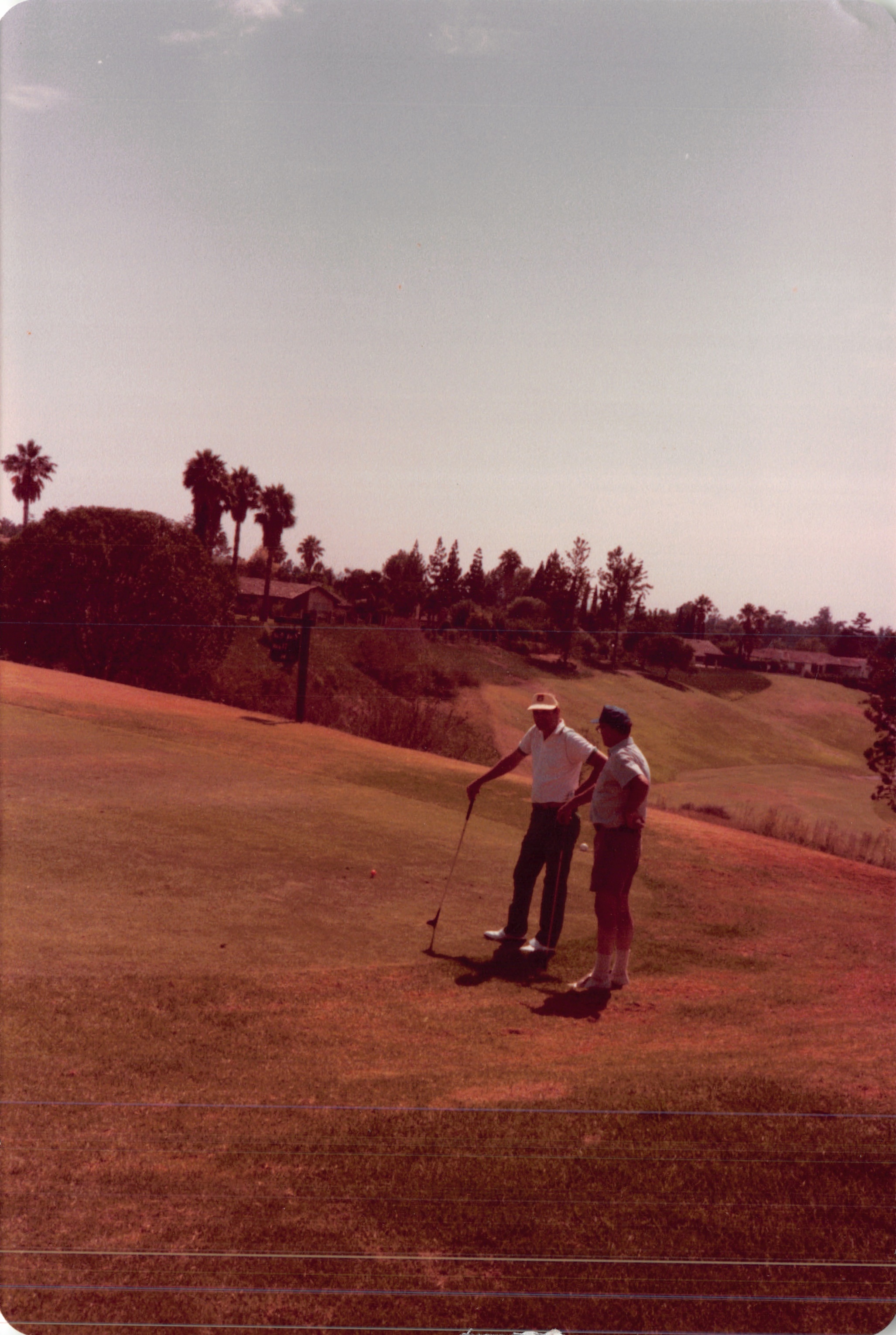 1984_376.jpg