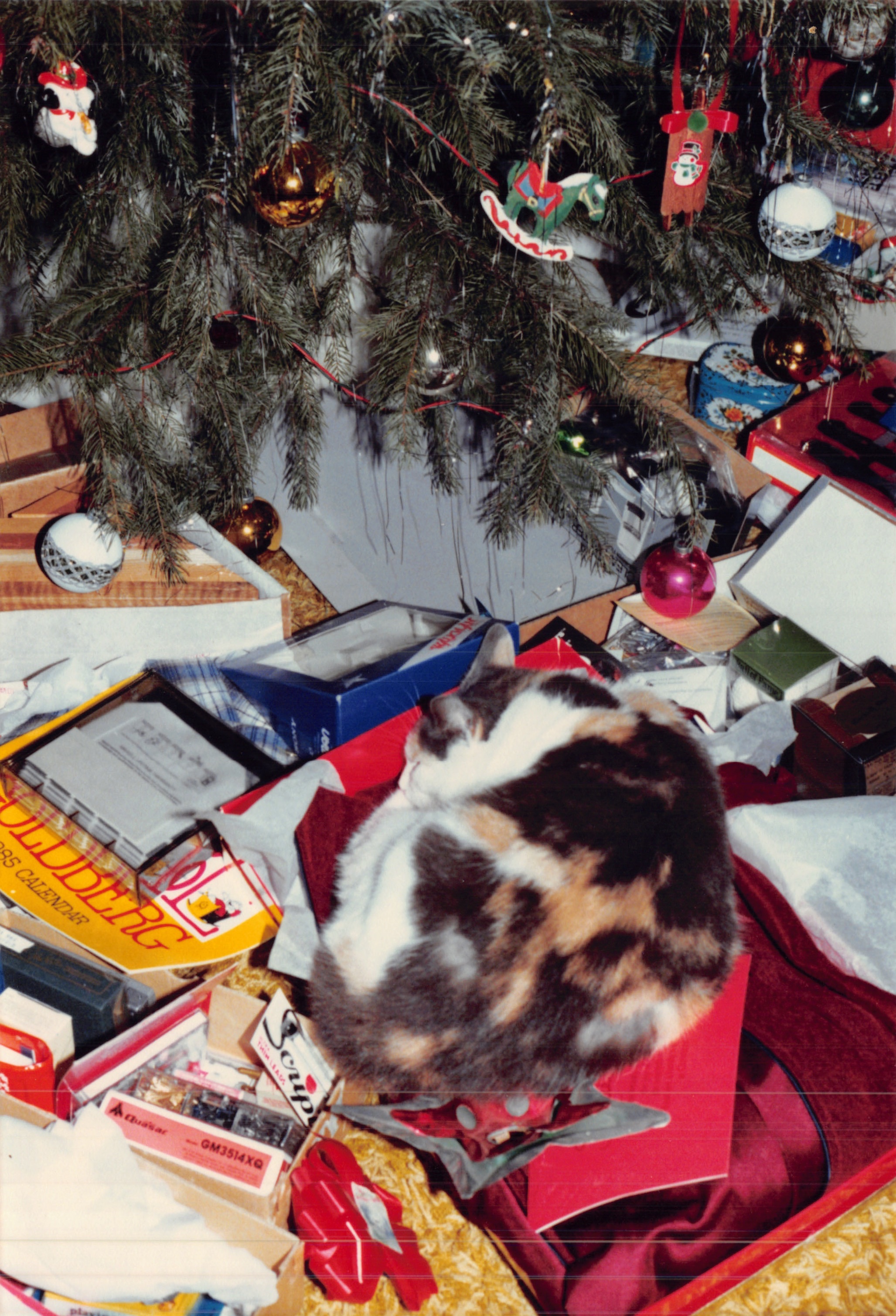 1984_528.jpg