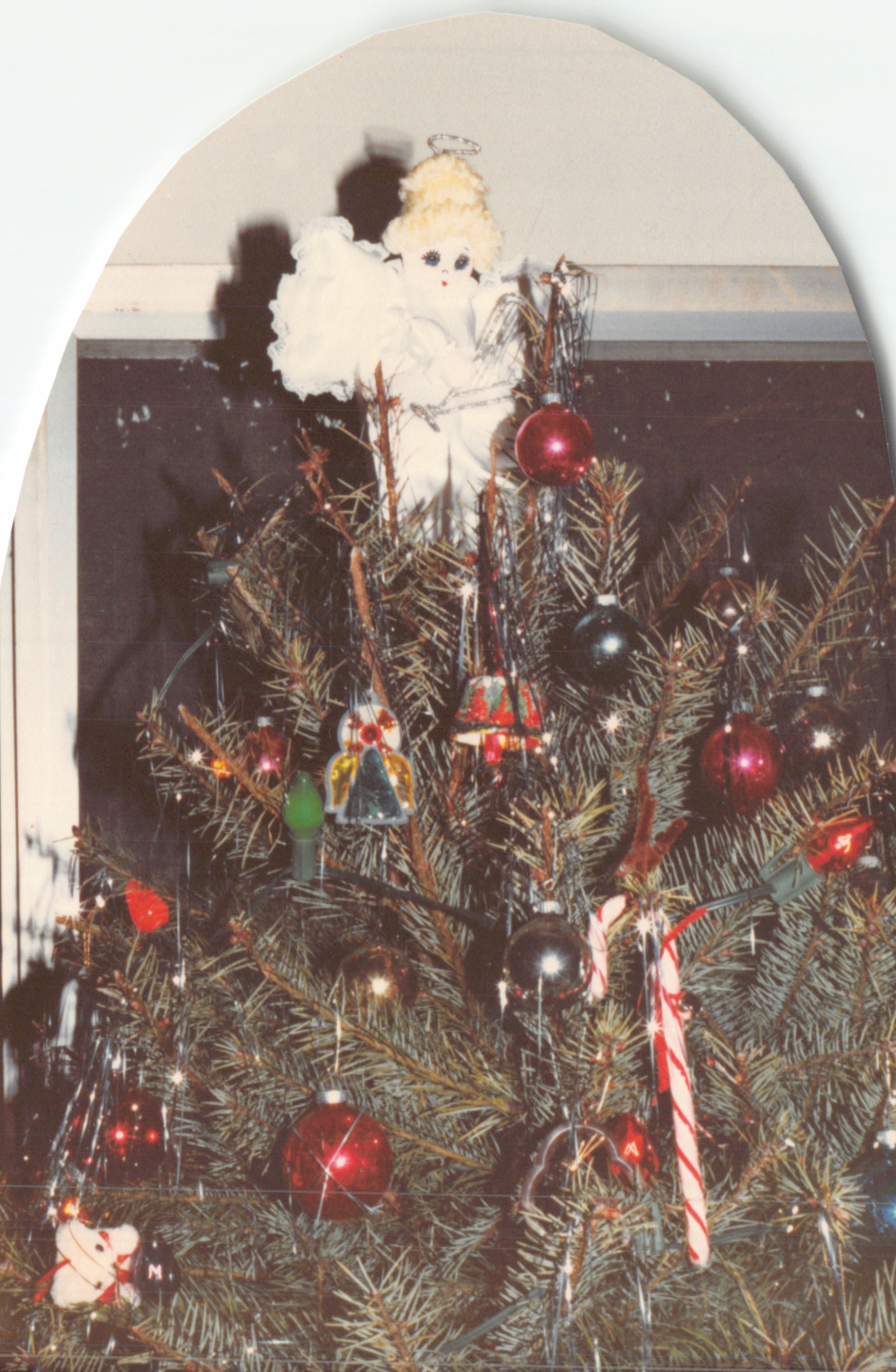 1984_533.jpg
