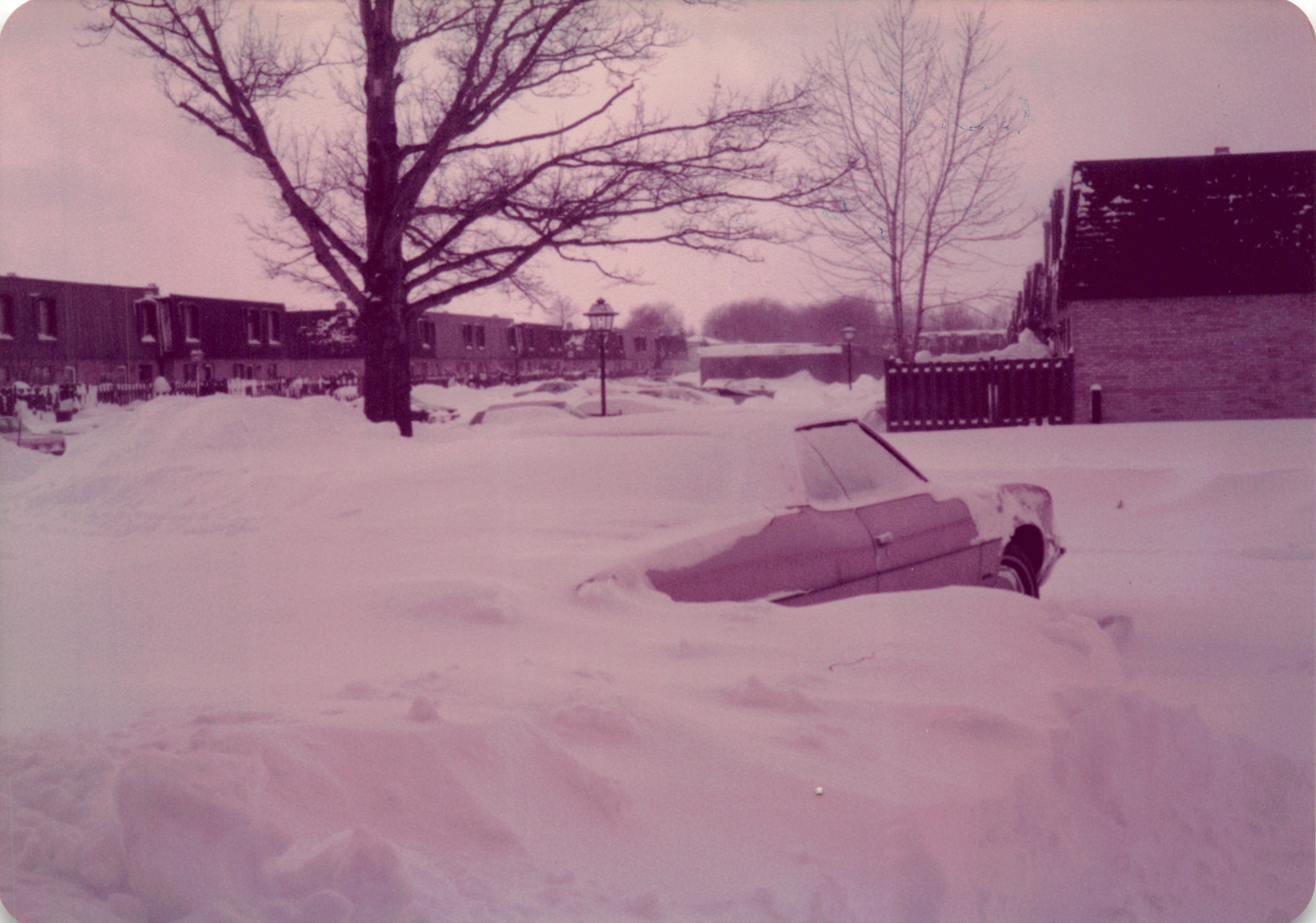 1984a_033.jpg